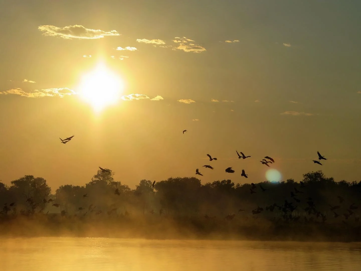 Sunrise with the birds.
Yellow Water, Kakadu, 2015. 
#sunrise #amanecer #yellowwatercruise #yellowwaterkakadu #kakadu #kakadunationalpark #northernterritory #northernterritoryaustralia #northernterritorytourism #topend #topendnt #tourismnt #austral
