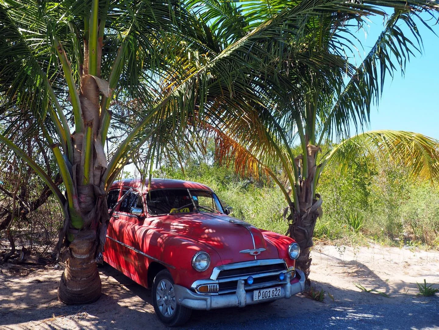 Remembering the streets of Cuba. I think this taxi colectivo got the prime carpark for waiting for the tourists to finish at the beach. 2017.
|
|
|
_______________________
#taxi #cuba #cubataxi #cubataxis #cubantaxi #cayojutias #vinales #oldcars #vin