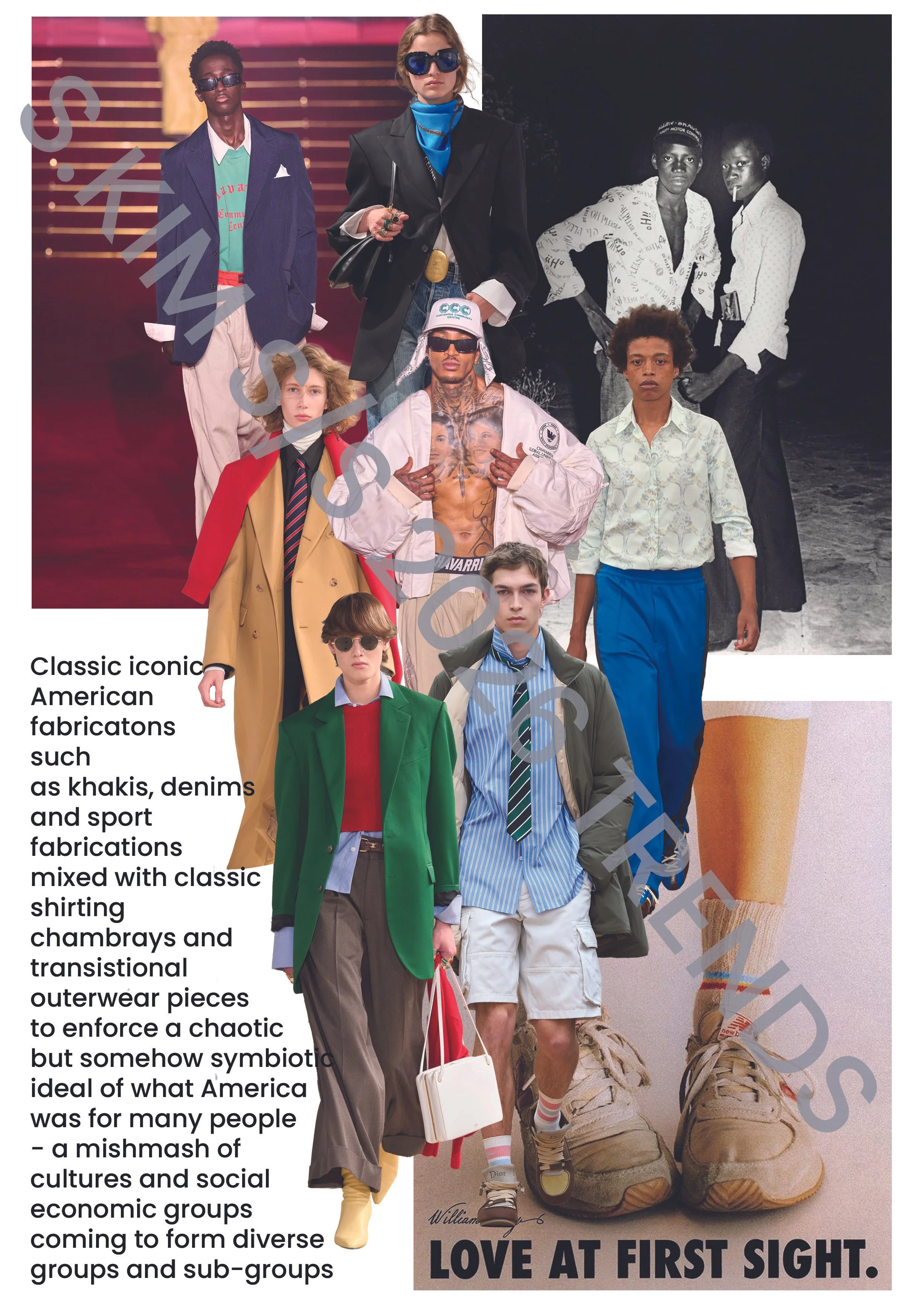 THE CHAOTIC AMERICAN EVIDENCE WATERMARK.jpg