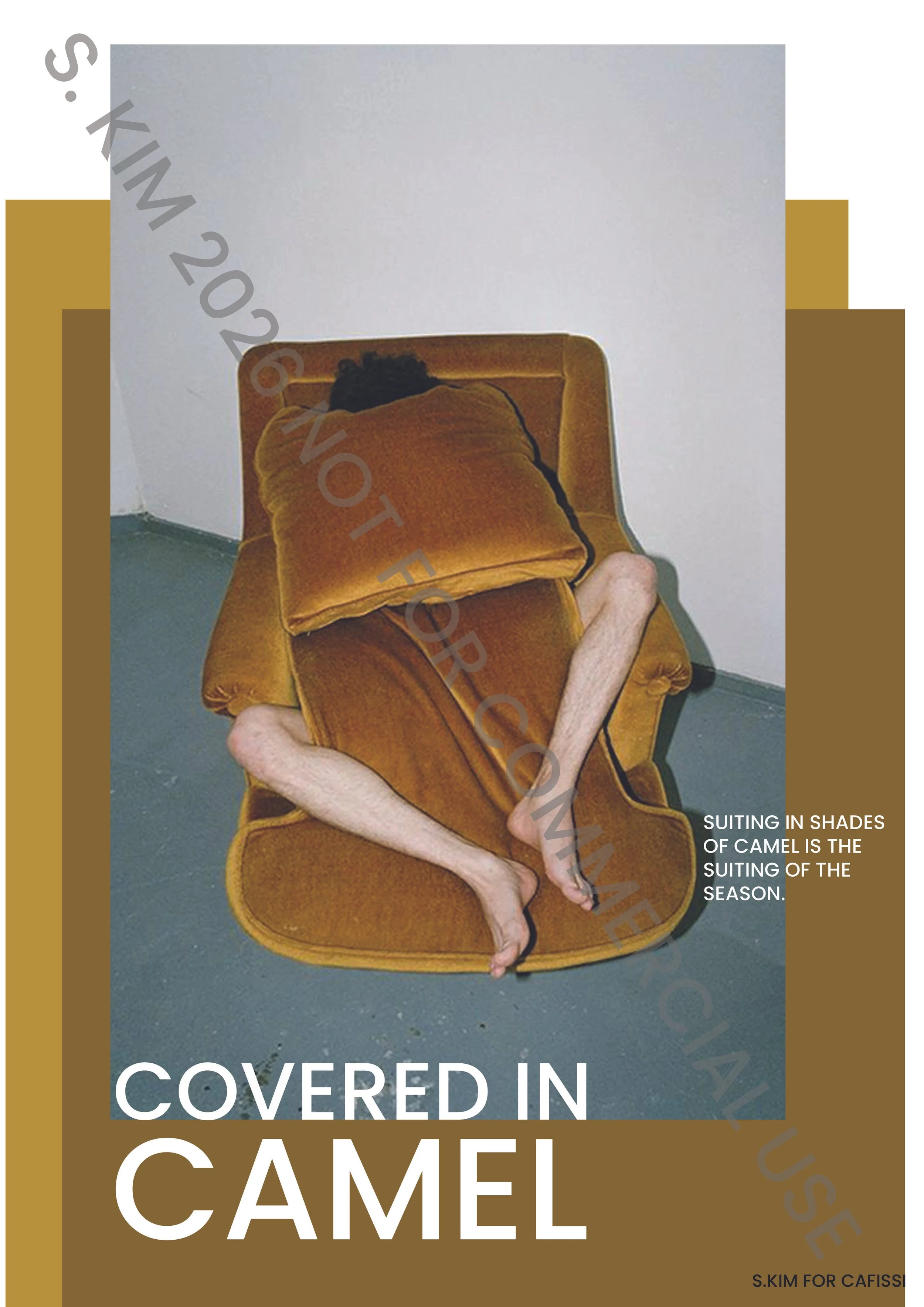 CAMEL SUITING copy 2.jpg