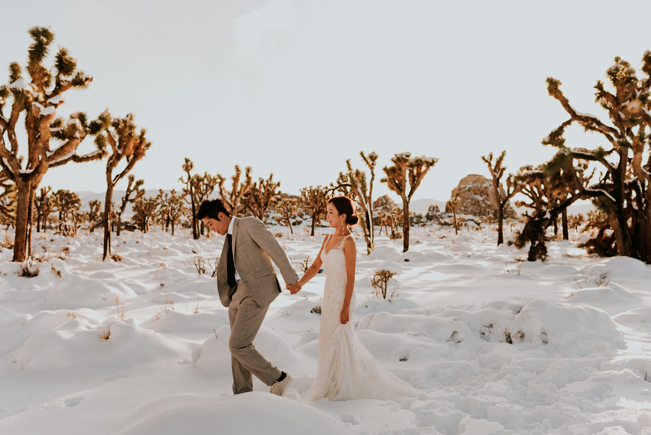 Snowy Winter Joshua Tree Elopement | Snow Covered Joshua Tree National Park | Joshua Tree Wedding Photographer | Destination Wedding Photographer