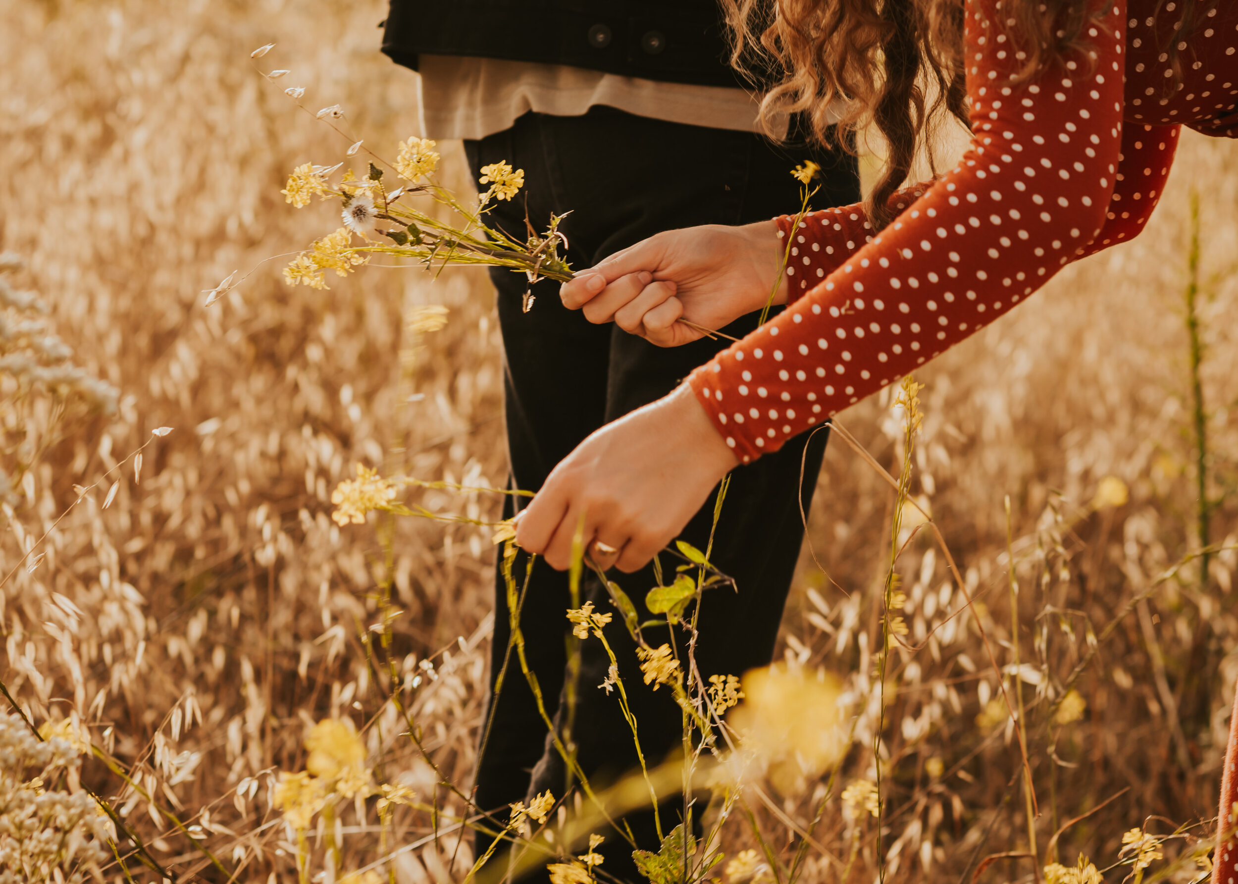 Malibu Canyon Couples Session | Malibu Wildflower Engagement Session | Malibu Mountains | Southern California Summer Engagement | Couples Outfits