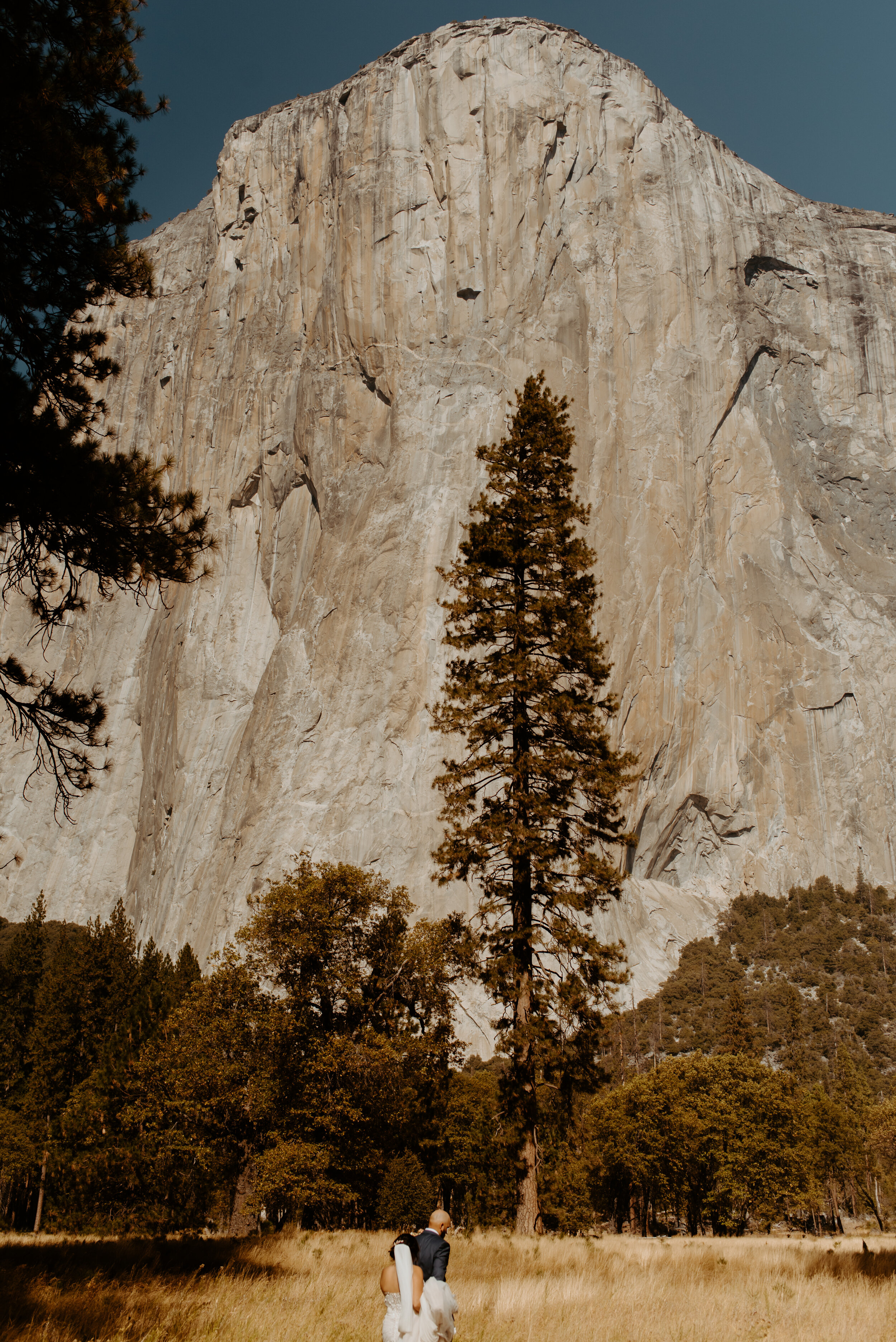 Glacier Point Elopement | Yosemite National Park Elopement and Wedding Photographer | Sunrise adventure elopement | California Elopement Photographer | El Capitan Meadow
