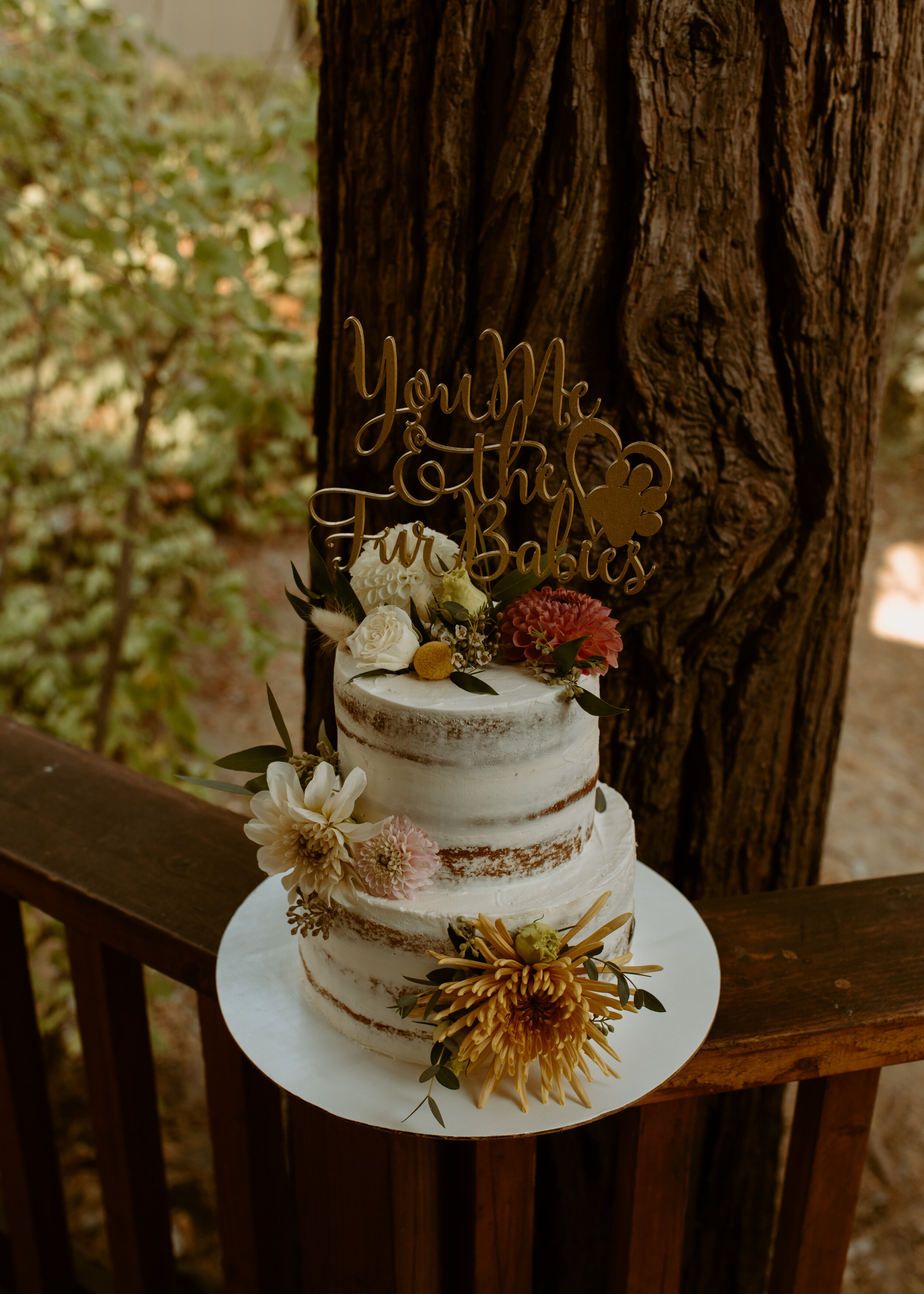 Yosemite Elopement | Wedding cake with cake topper that says "You Me and the Fur Babies"