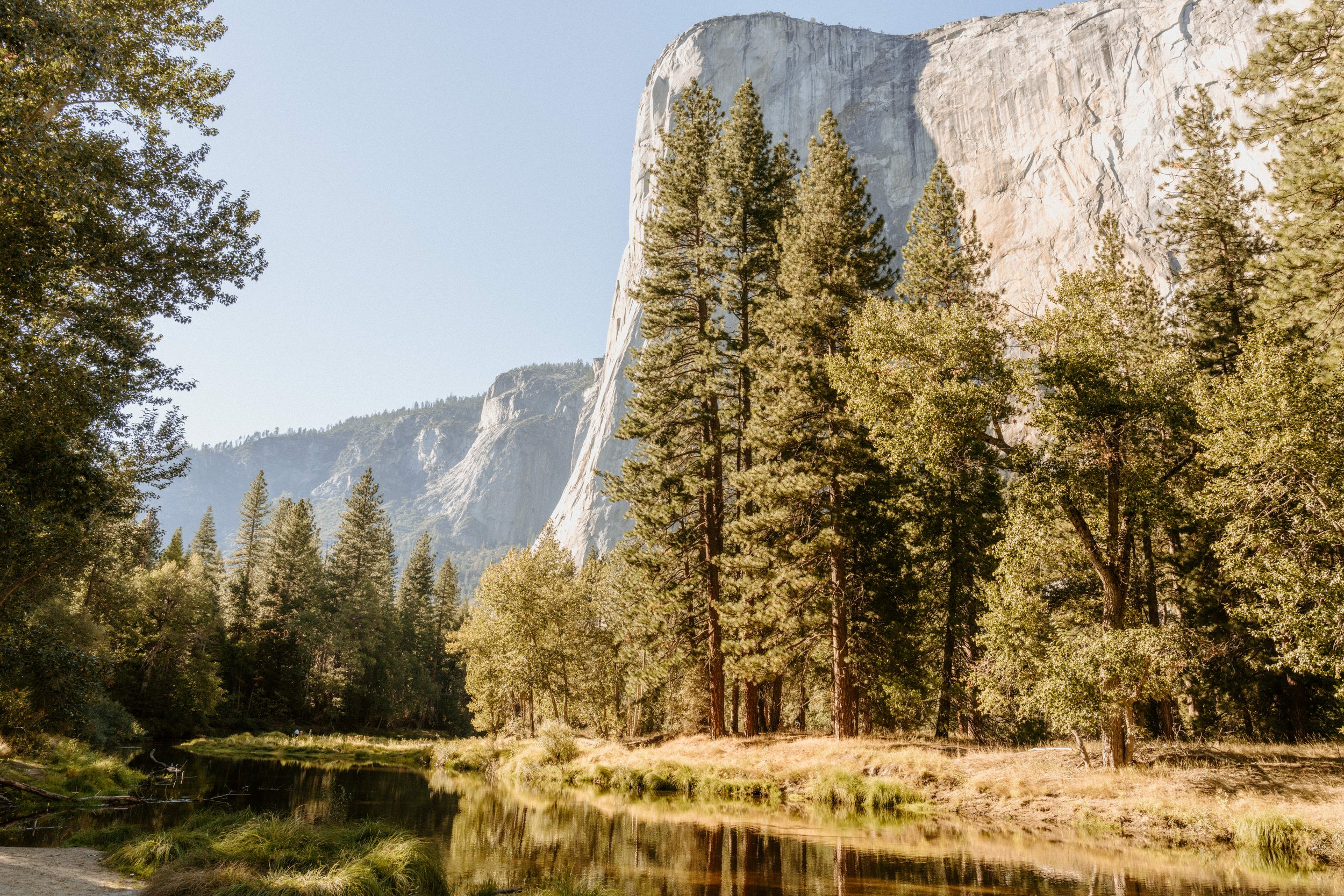 molly-dylan-yosemite-wedding-carrie-rogers-photography-419.jpg