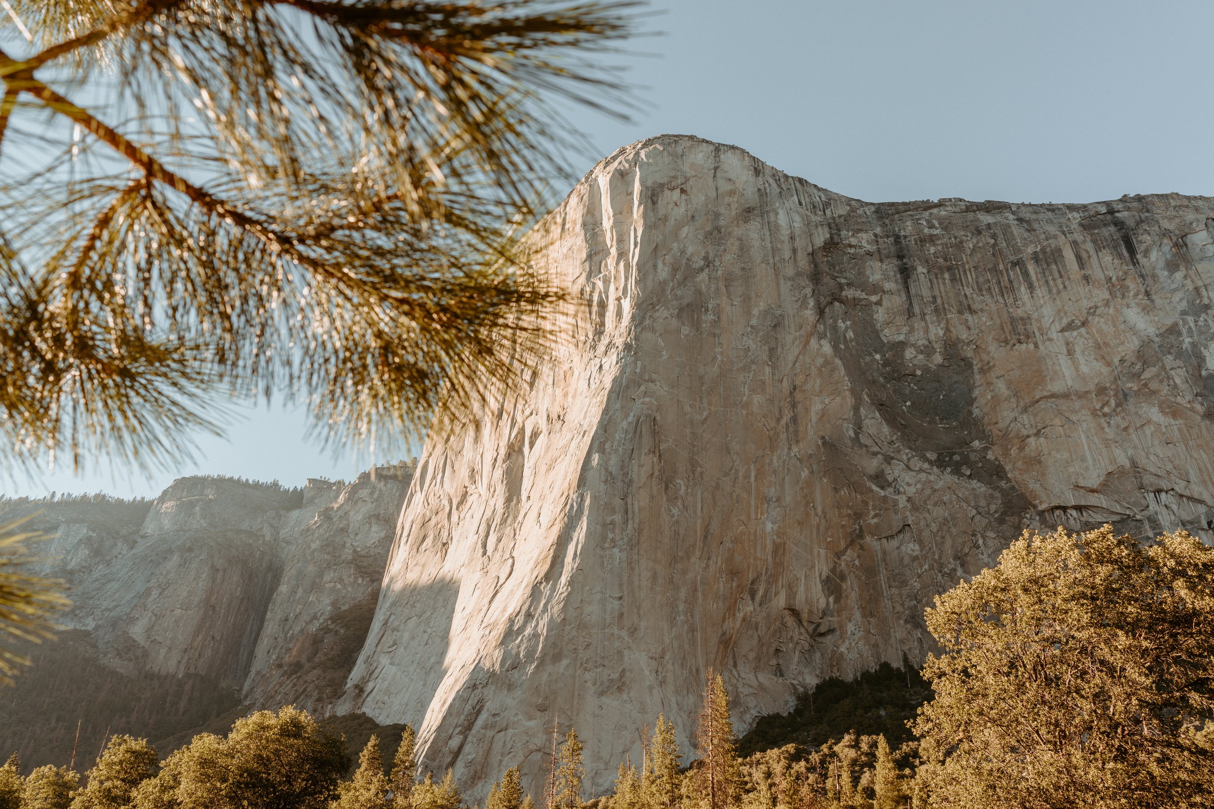 molly-dylan-yosemite-wedding-carrie-rogers-photography-509.jpg