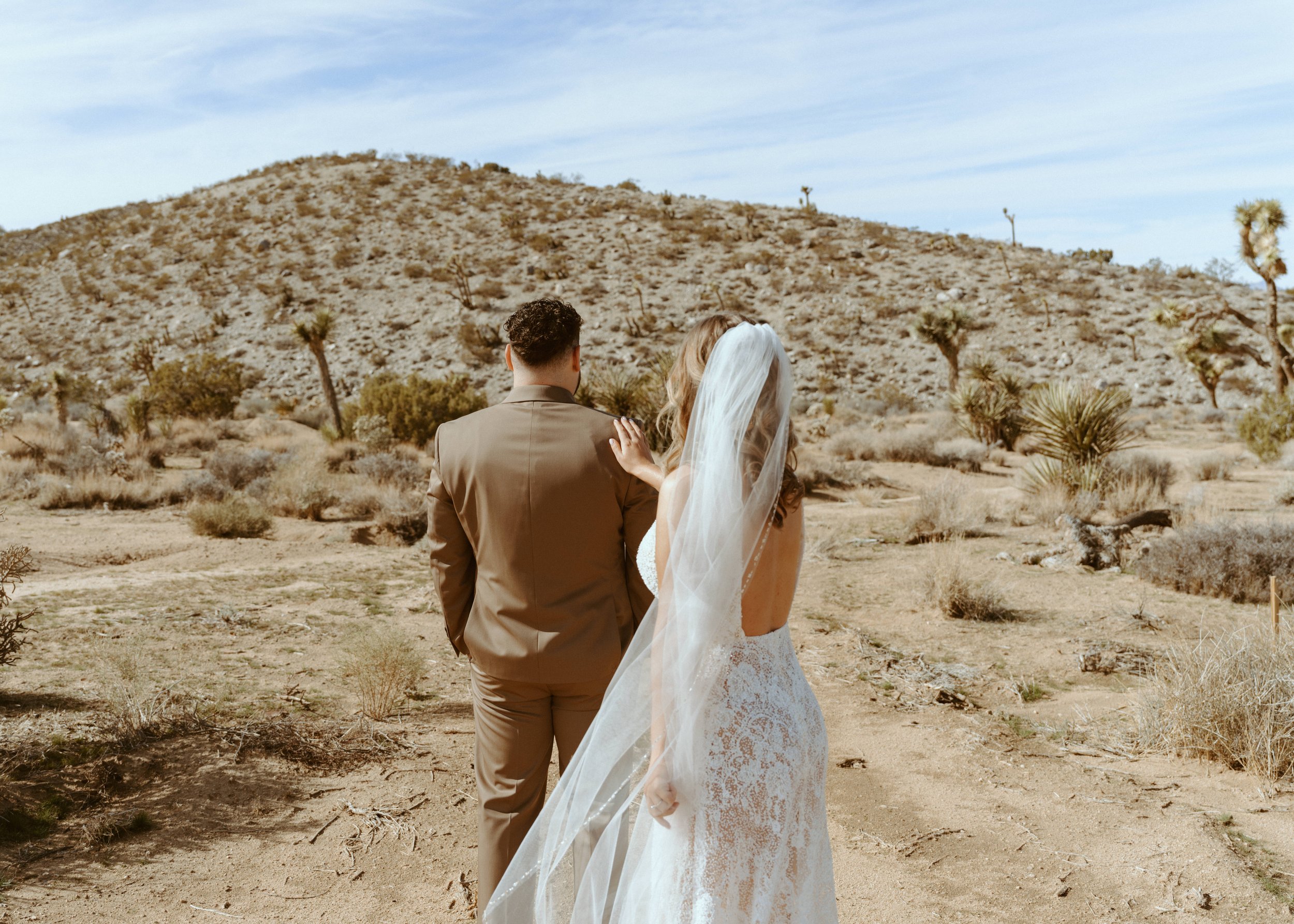 Joshua Tree Intimate Wedding