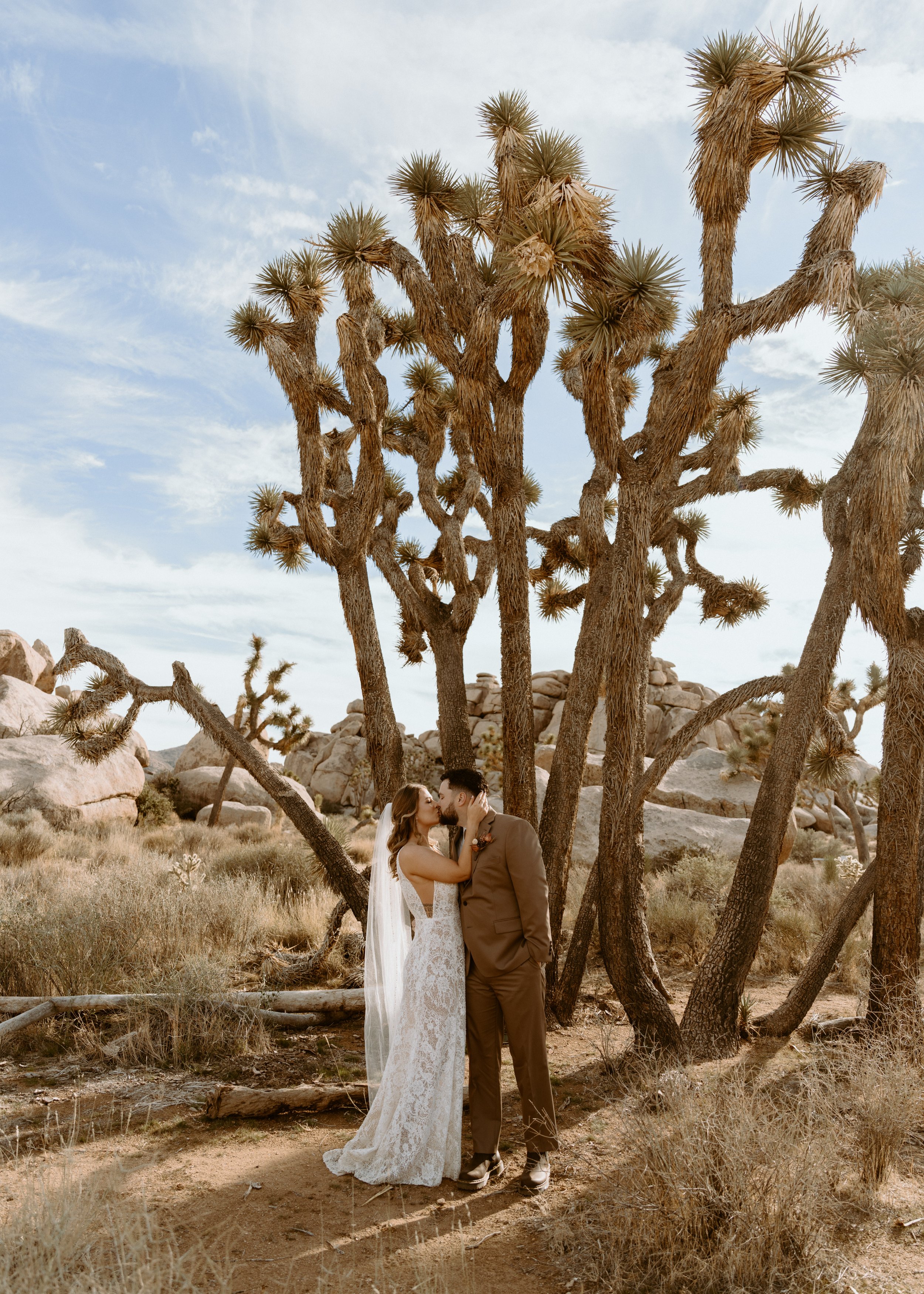 Joshua Tree Intimate Wedding