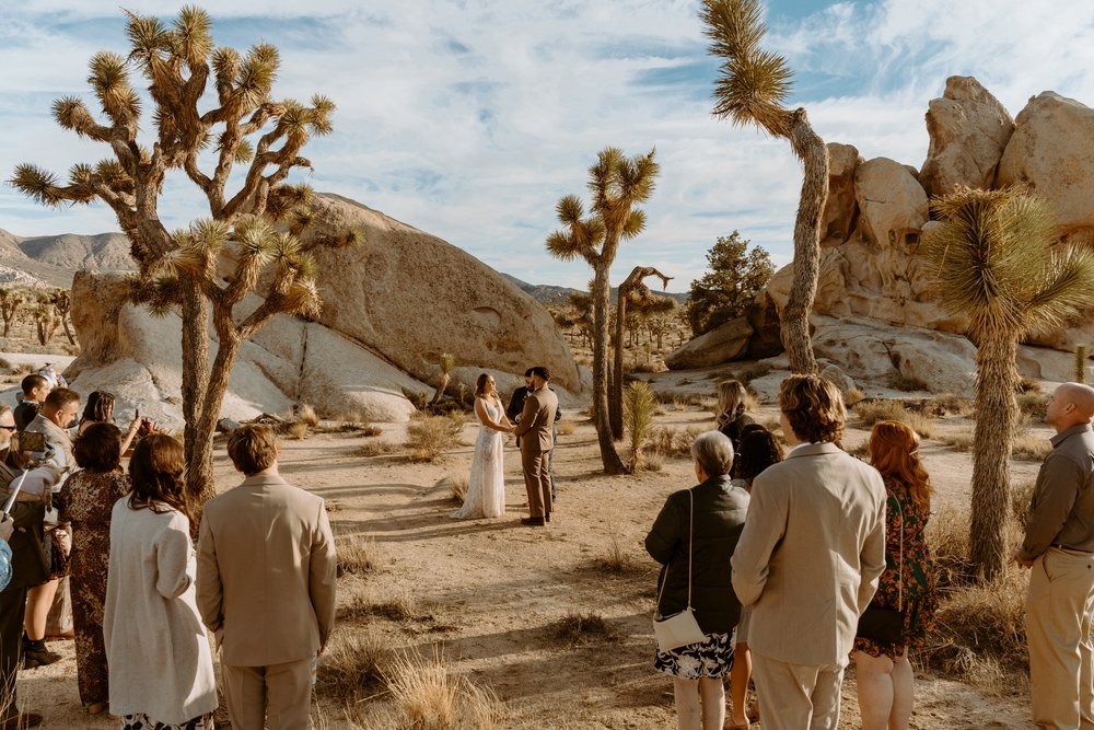 Joshua Tree Intimate Wedding