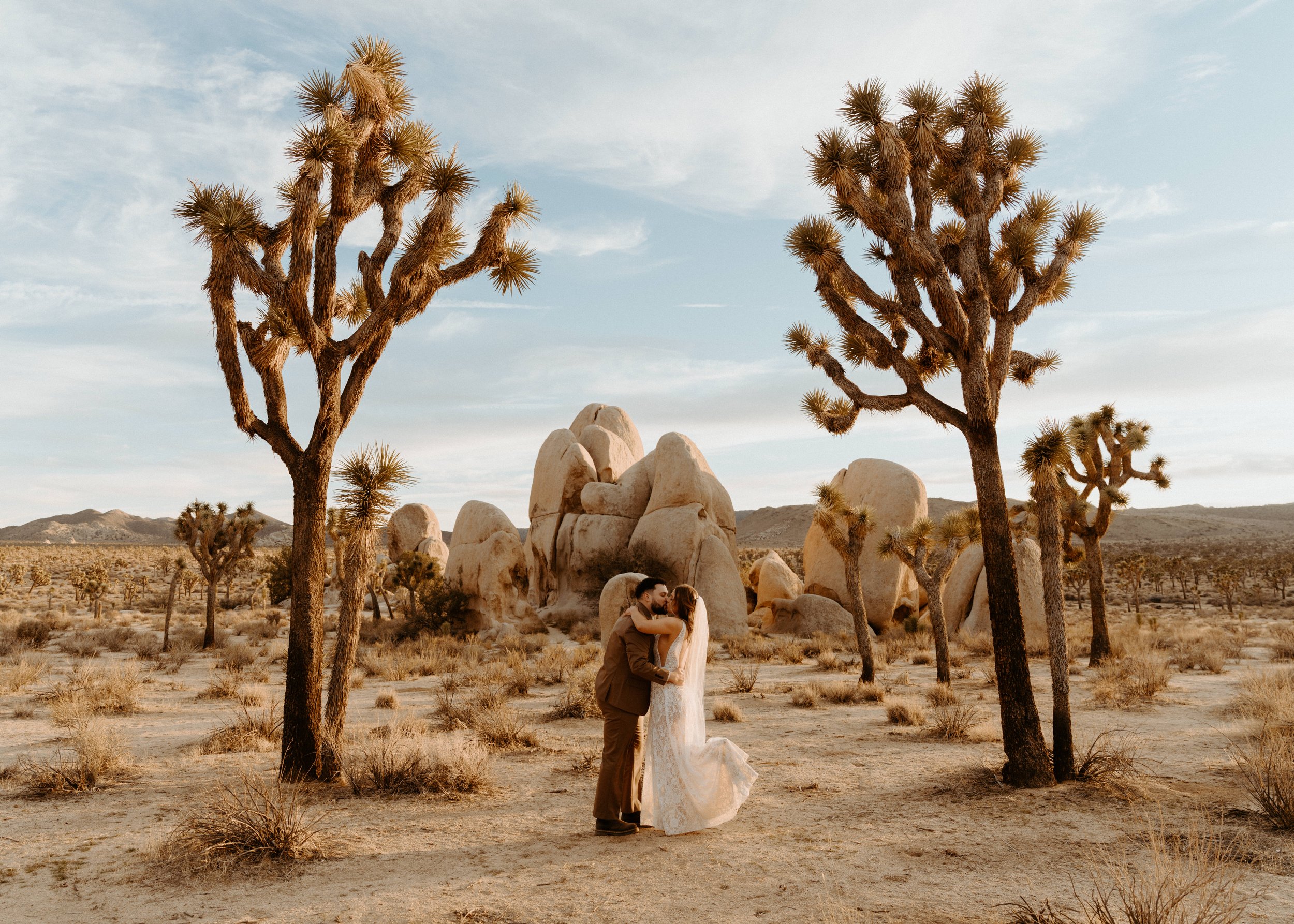 Joshua Tree Intimate Wedding