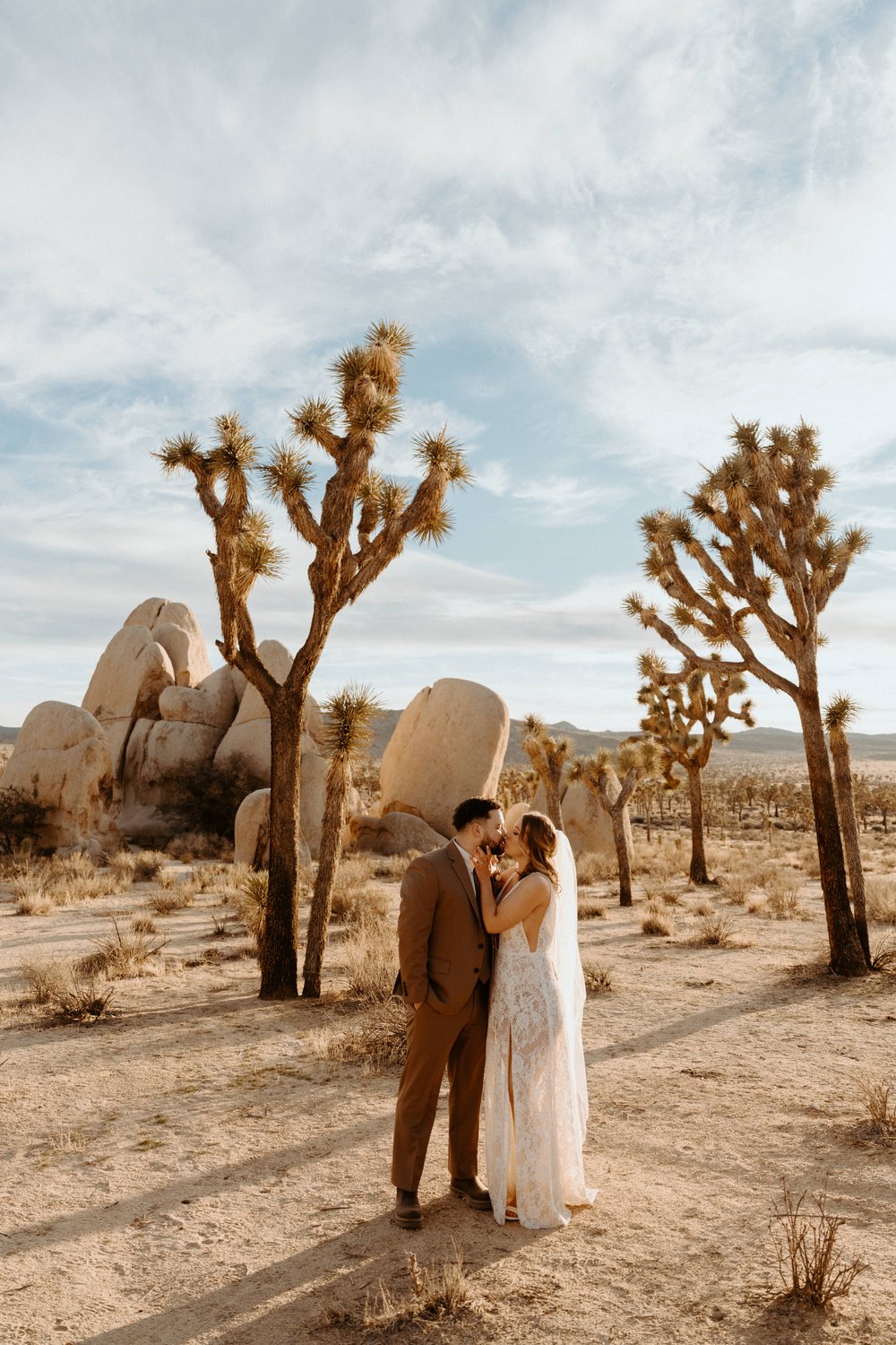 Joshua Tree Intimate Wedding