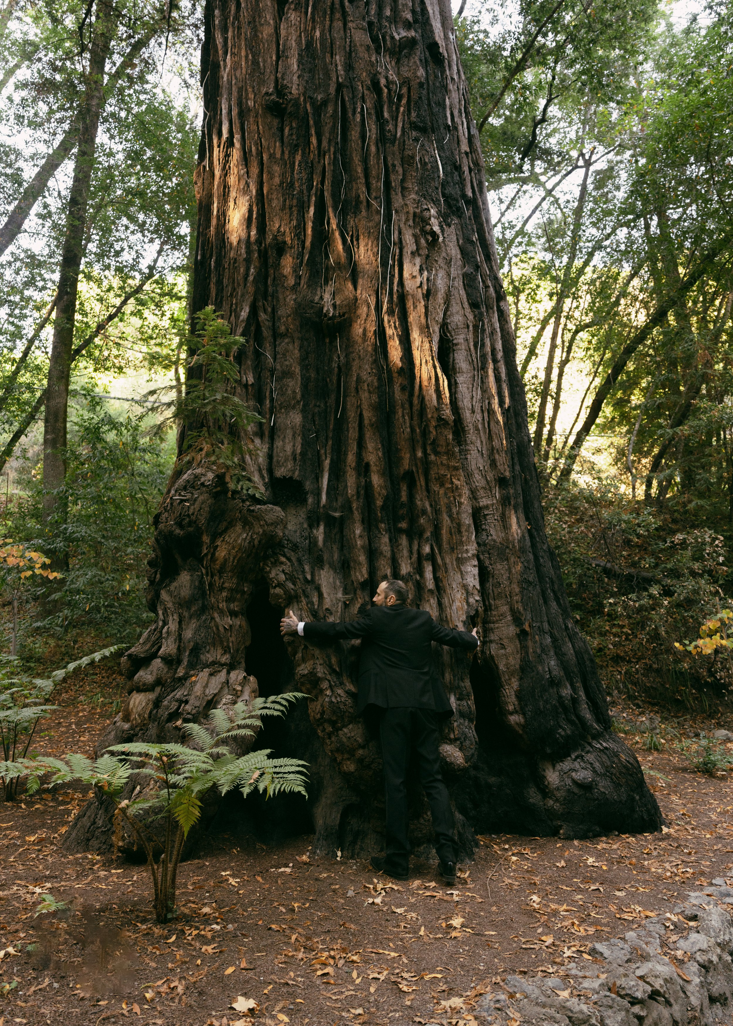 s-p-big-sur-elopement-carrie-rogers-photography-212.jpg