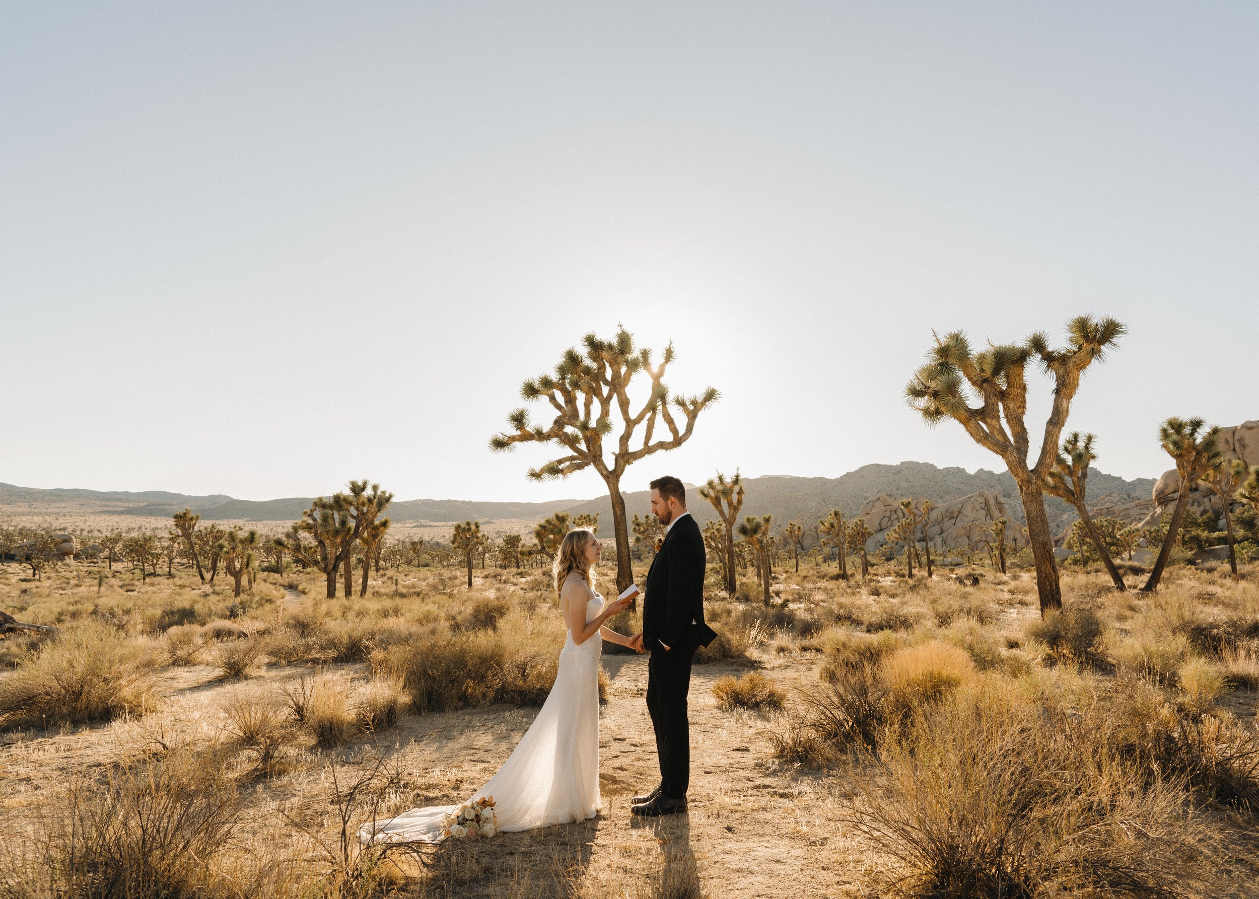 How to Elope in Joshua Tree National Park | Joshua Tree Elopement Photographer | National Park Elopement | Southern California Elopement Photographer