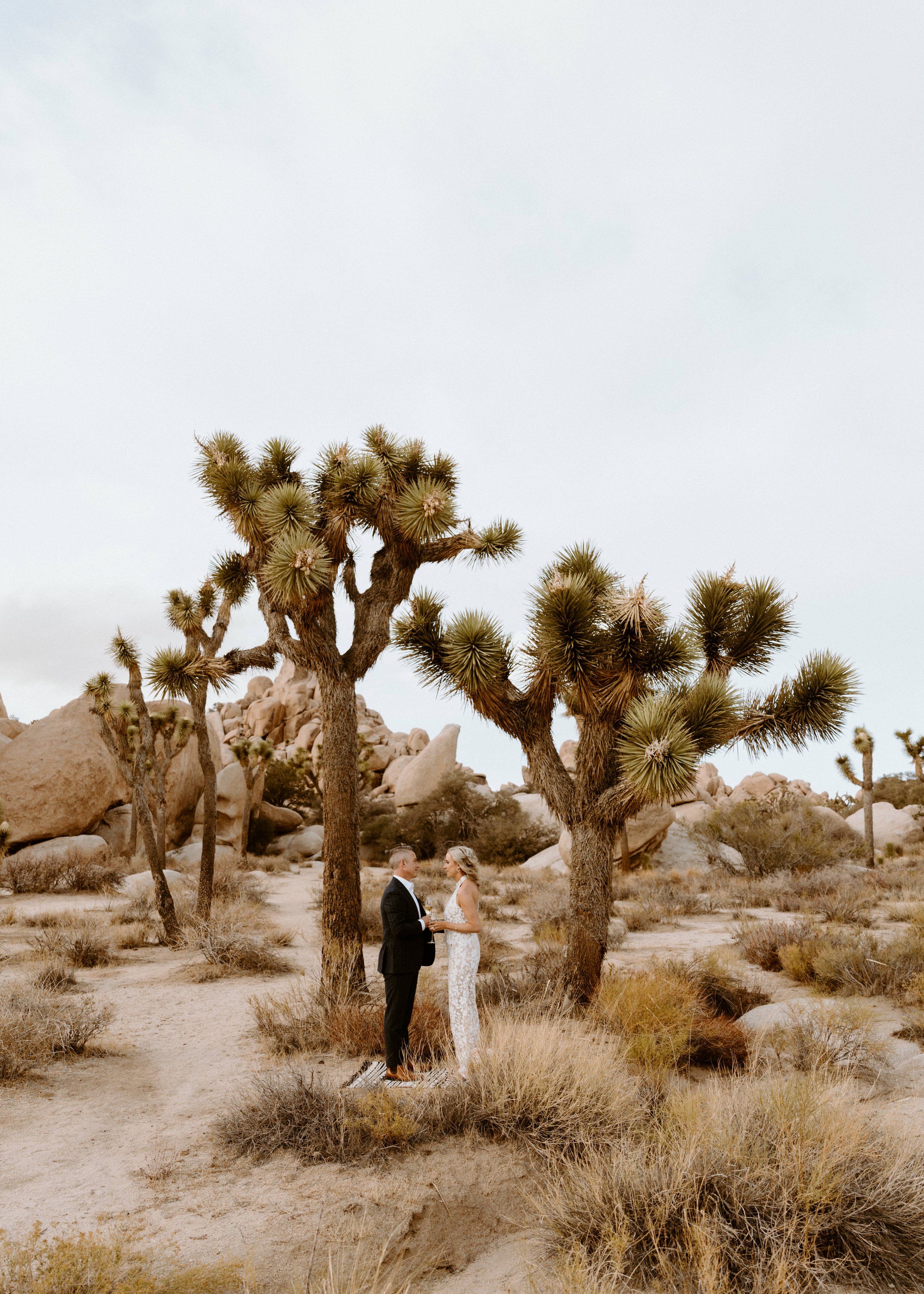 How to Elope in Joshua Tree National Park | Joshua Tree Elopement Photographer | National Park Elopement | Southern California Elopement Photographer