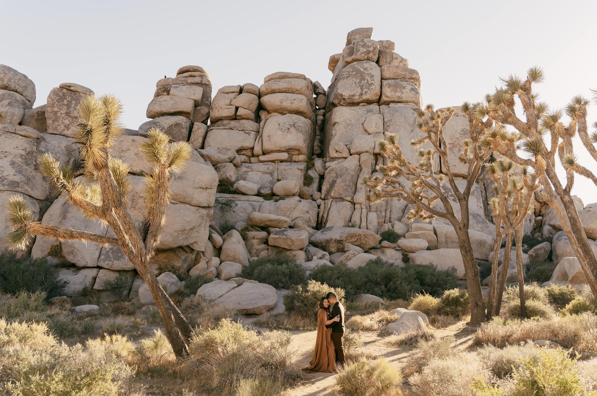 Joshua Tree Engagement Photos