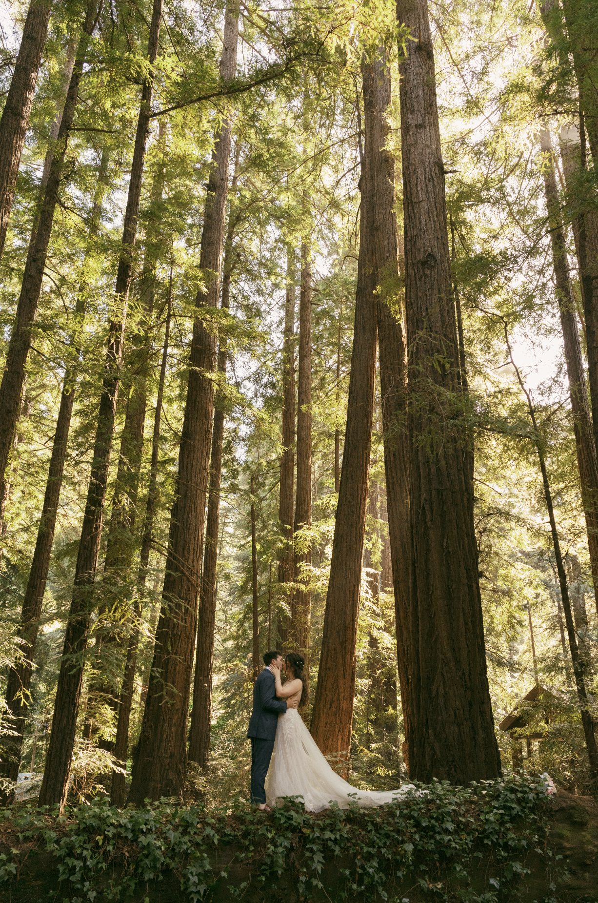 Best Place to Elope in California | Big Sur | Big Sur Elopement Photographer | California Elopement Photographer | Elopement Tips | Big Sur Elopement | Coastal Elopement 