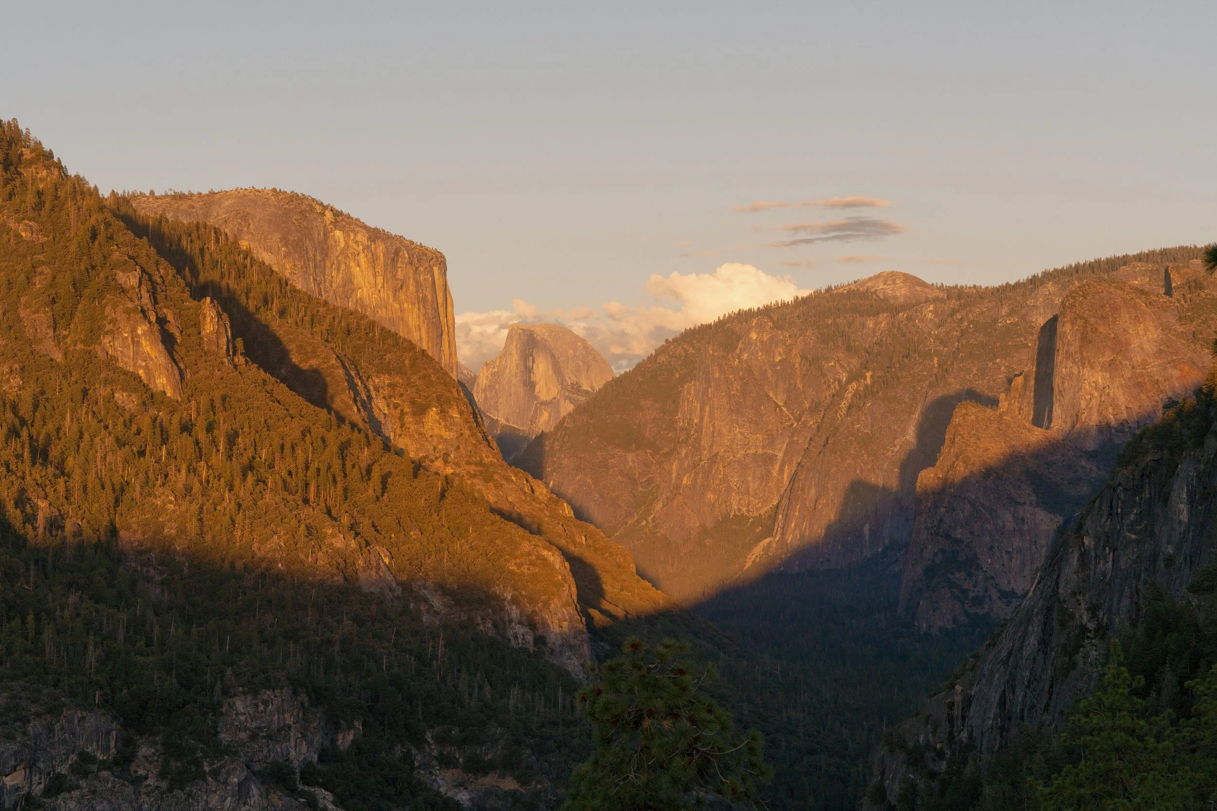 Yosemite Engagement Photos