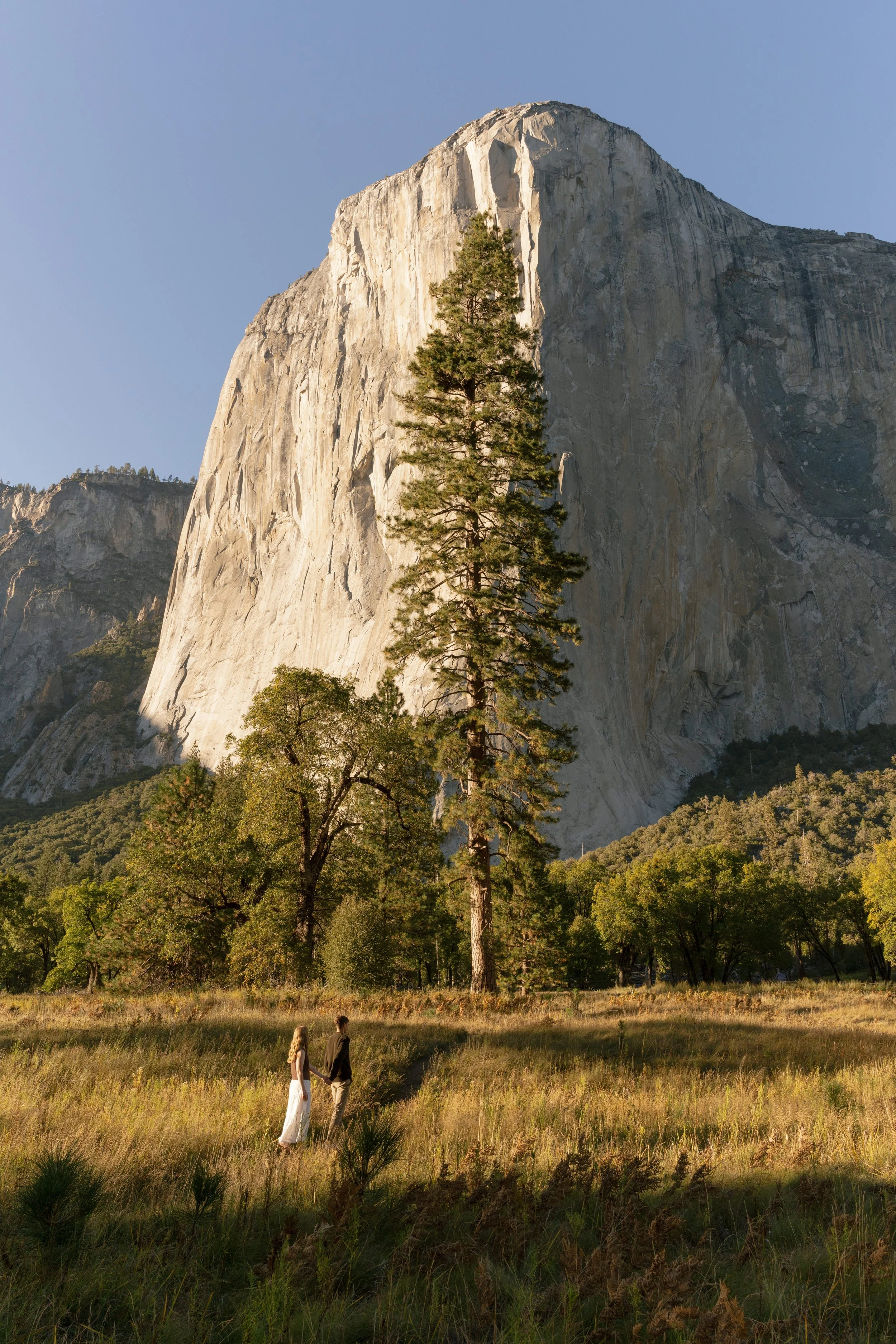 Yosemite Engagement Photos