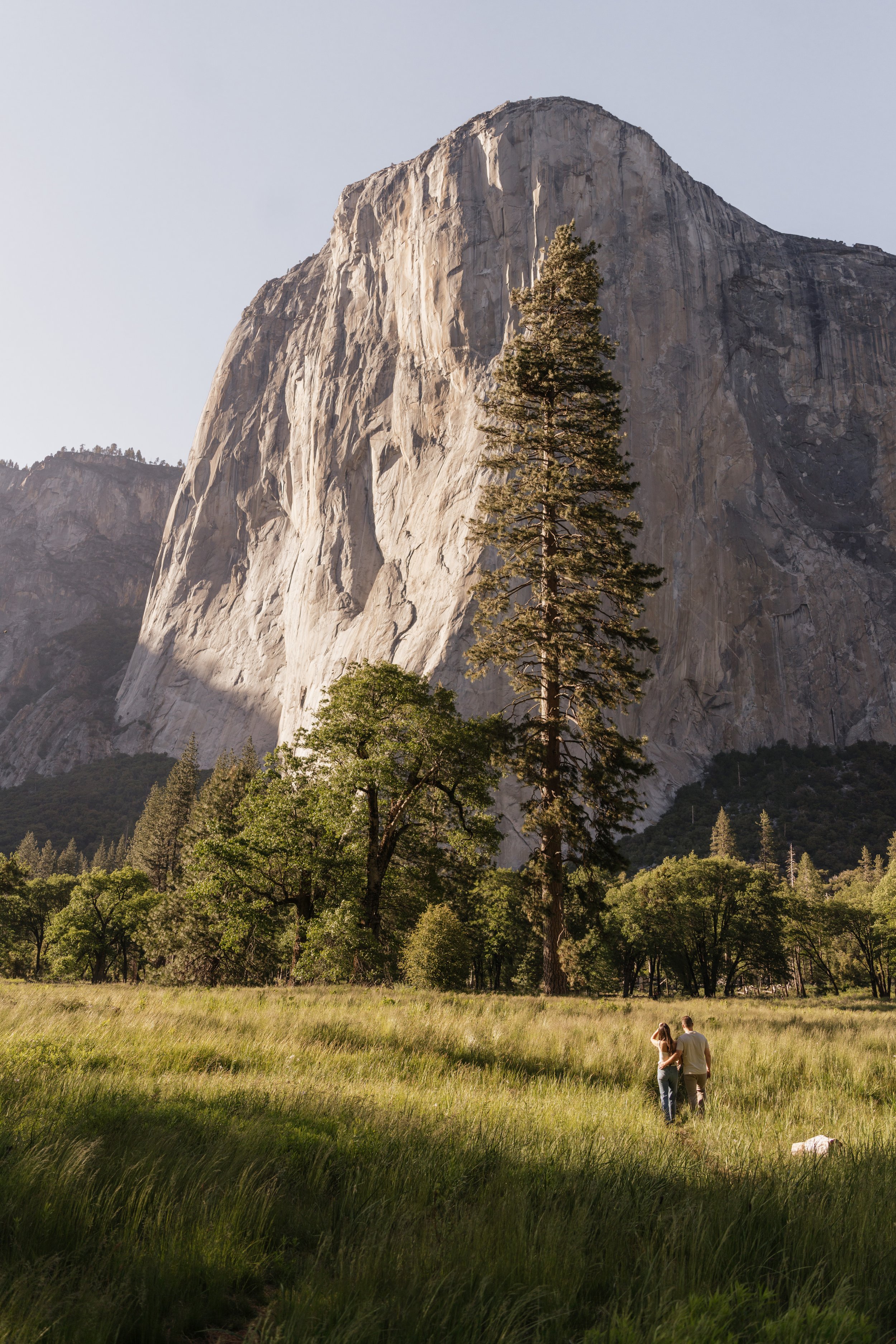 Yosemite Engagement Photos