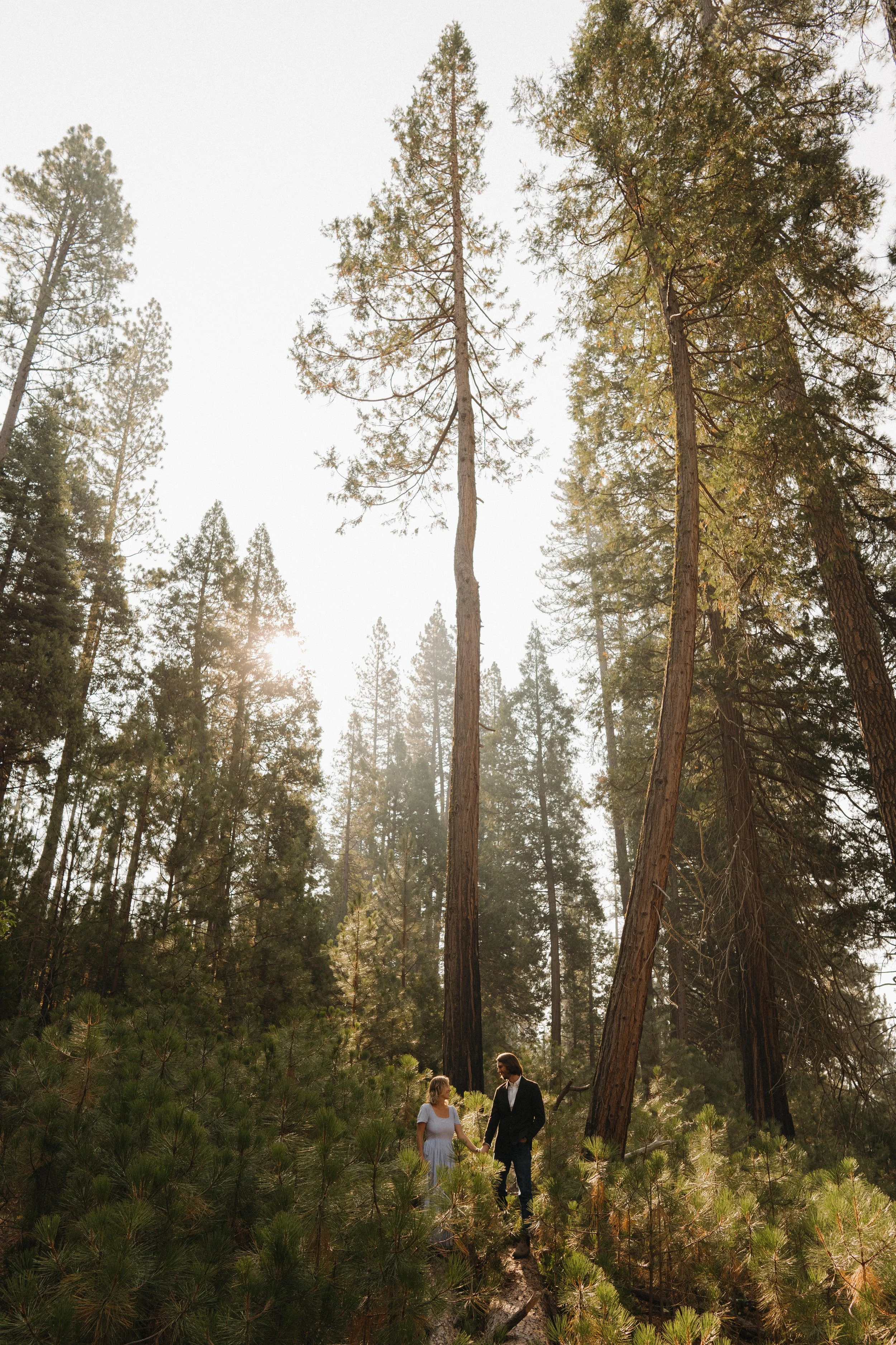 Yosemite Engagement Photos