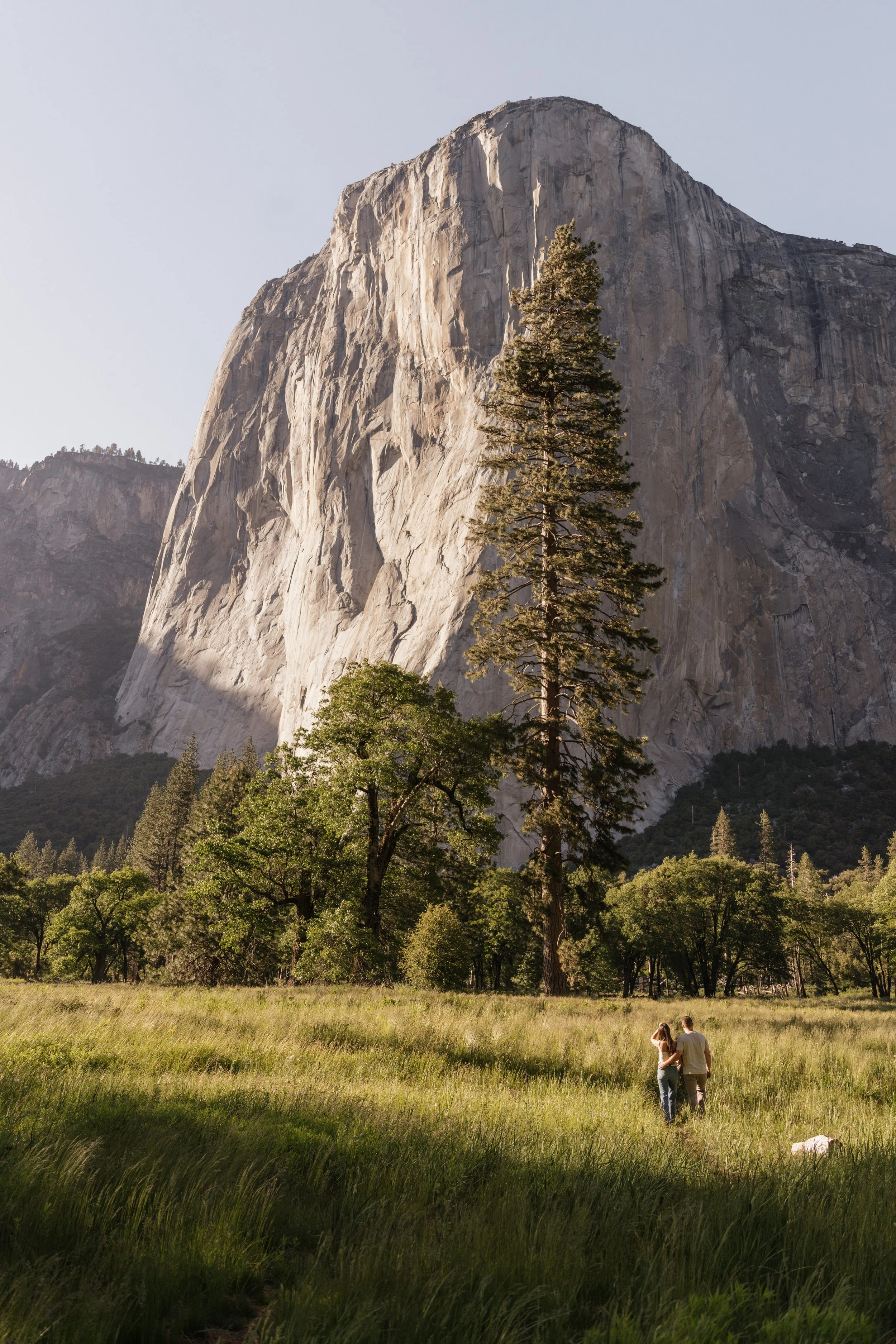 Yosemite Engagement Photos