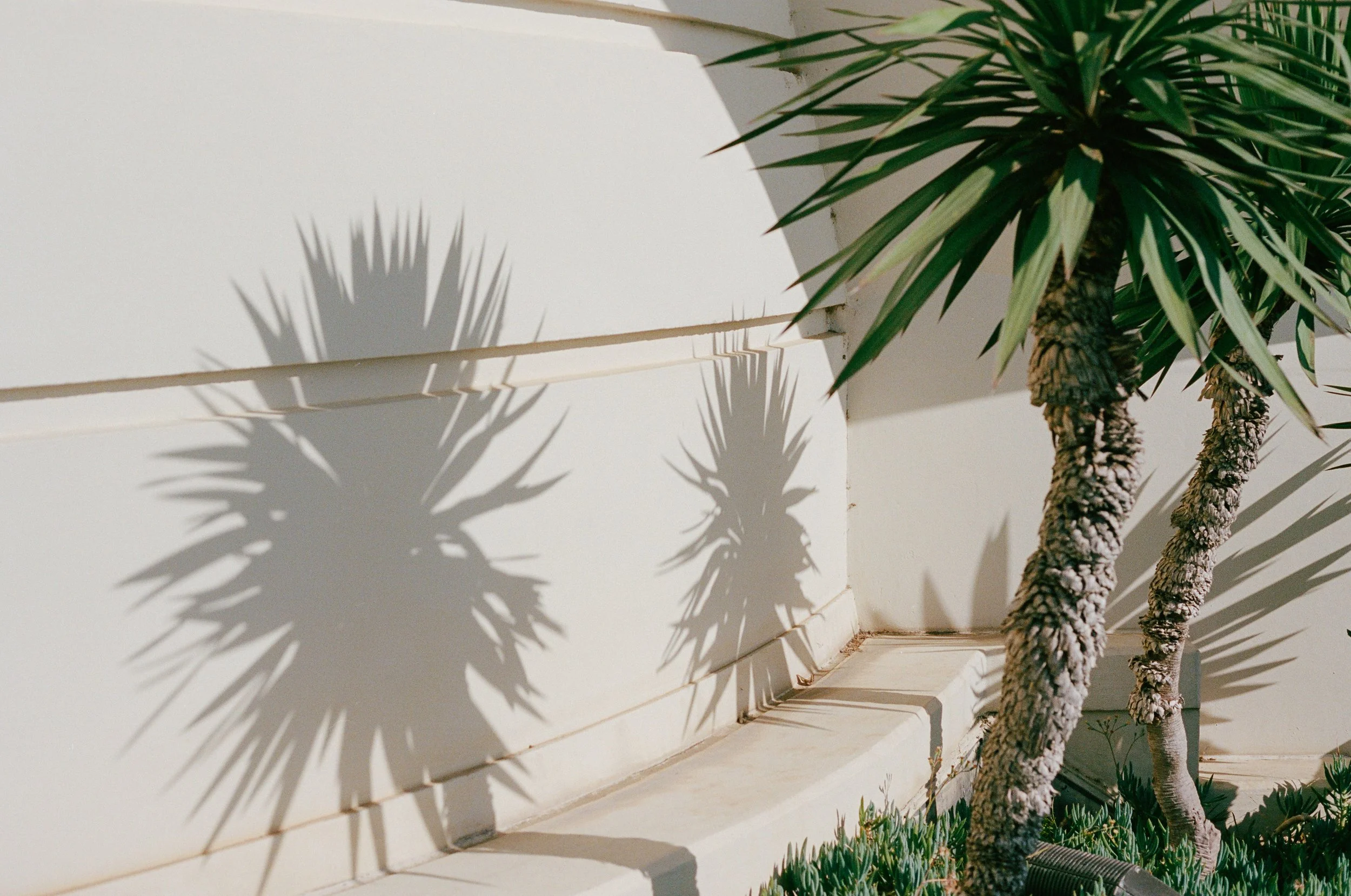 Film Engagement Photos at the Griffith Observatory