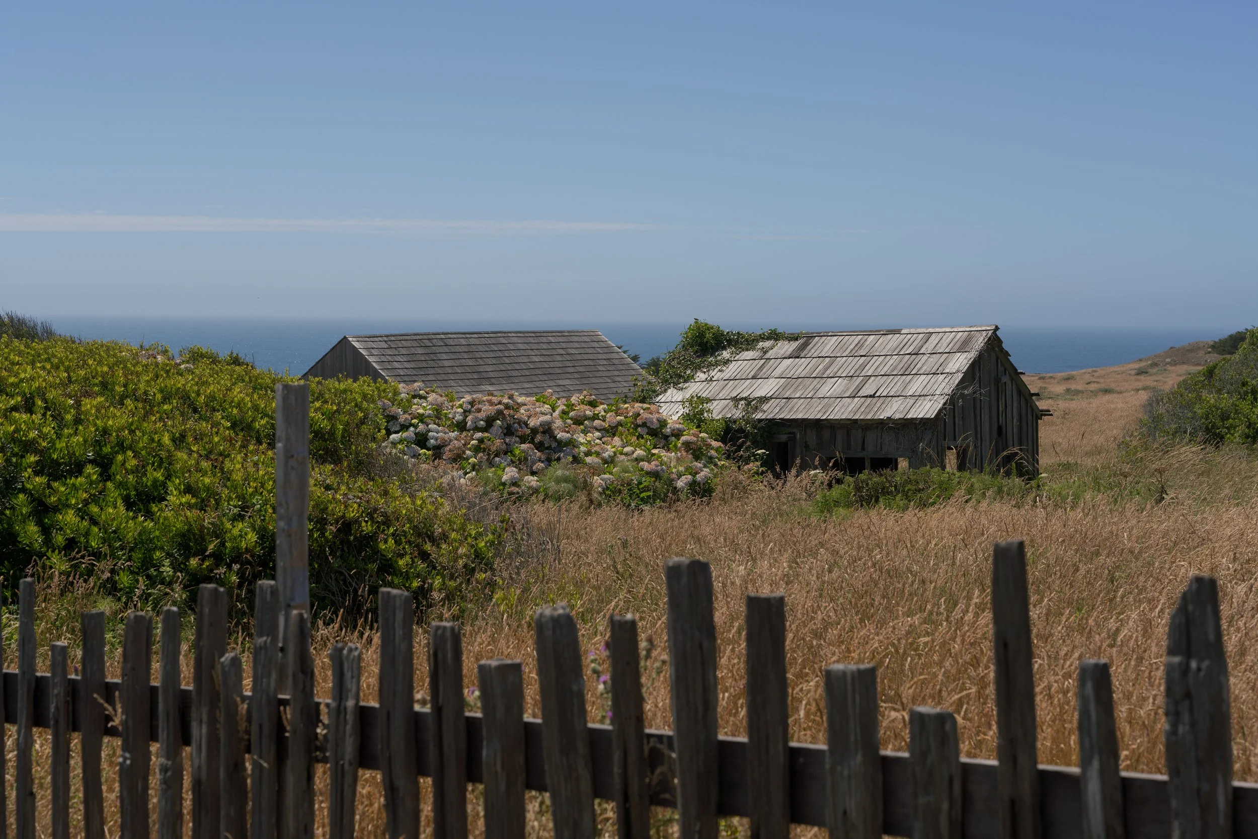 Surprise Proposal and Engagement Photos at The Sea Ranch Lodge