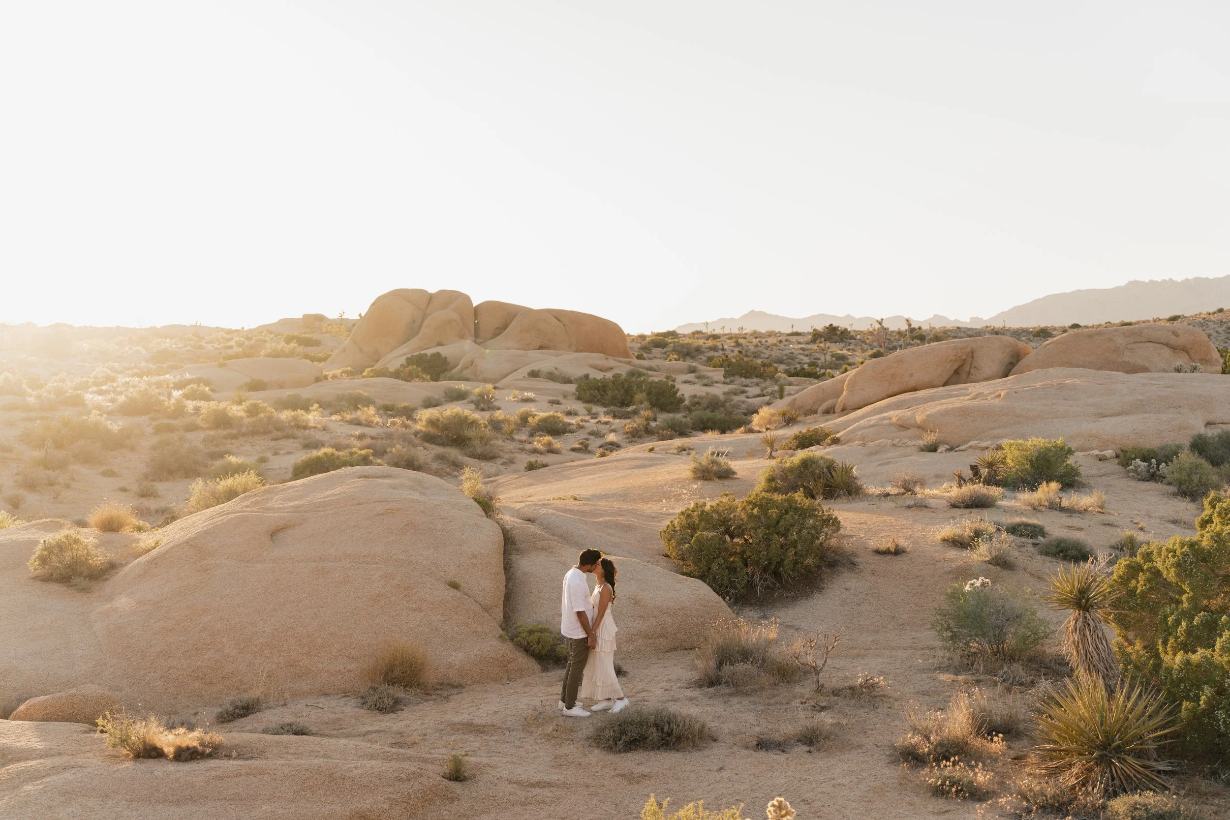 ayushi-anuj-joshua-tree-carrie-rogers-photography-63.jpg