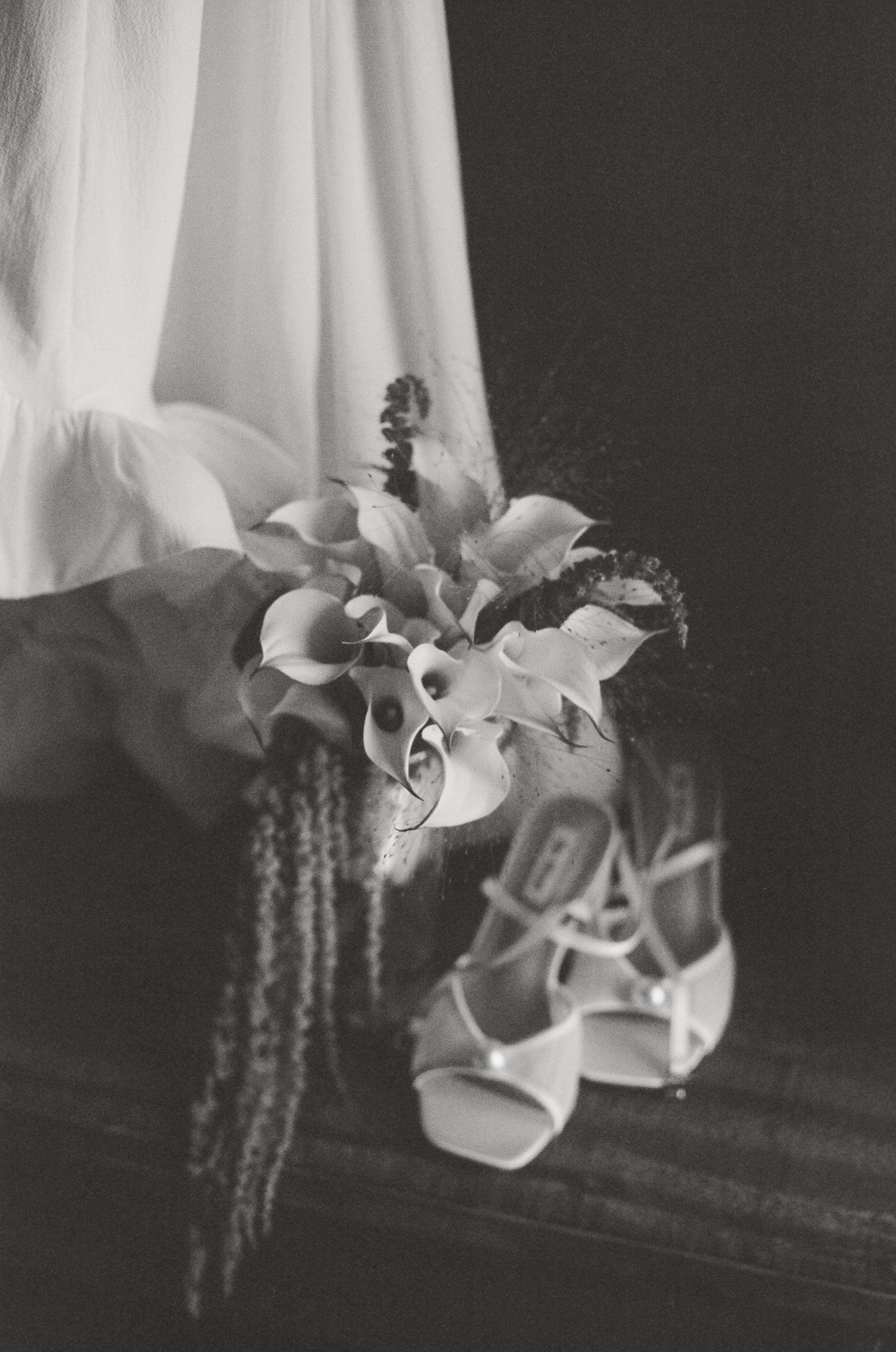 Beverly Hills Elopement Film Photography