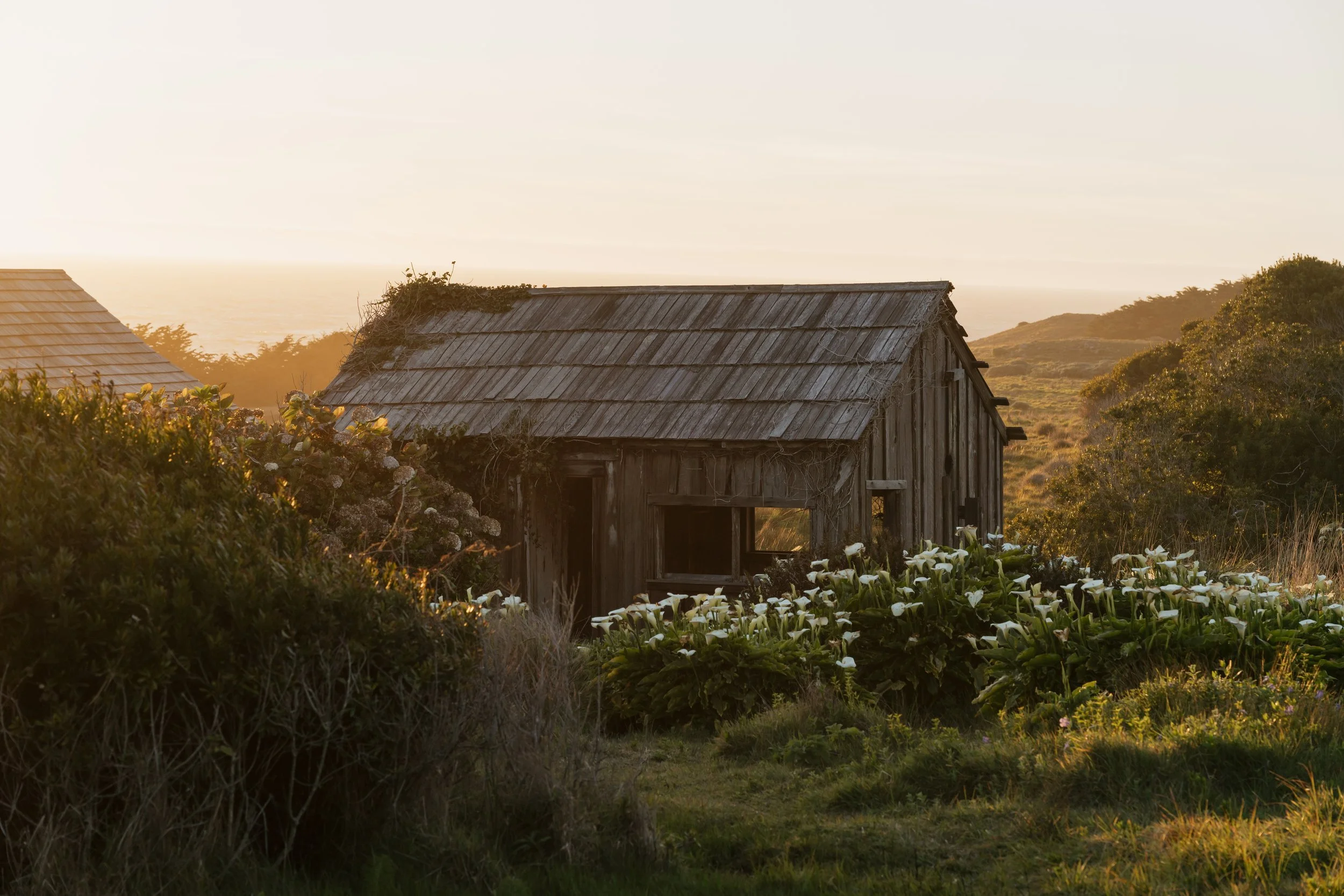 sea-ranch-lodge-by-carrie-rogers-photography-95.jpg