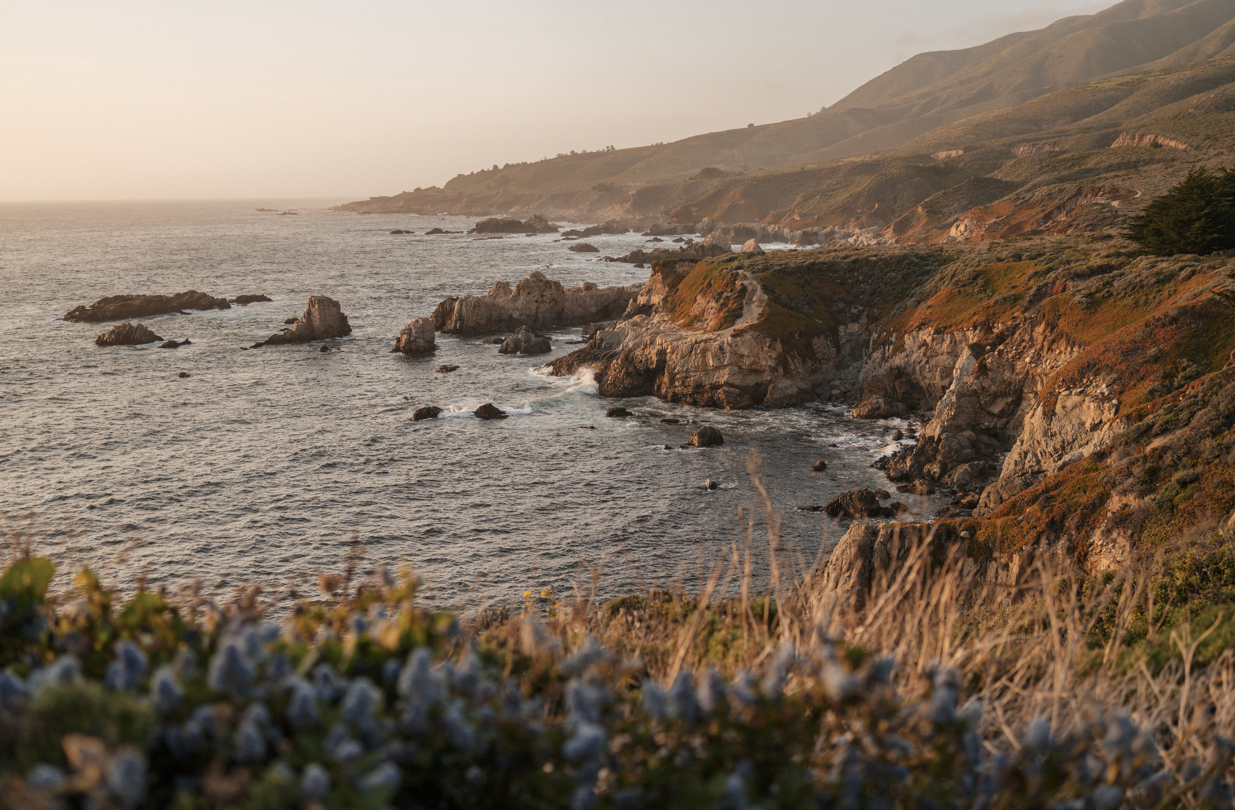 Screenshot 2026-02-03 at 12.53.53 PM.png