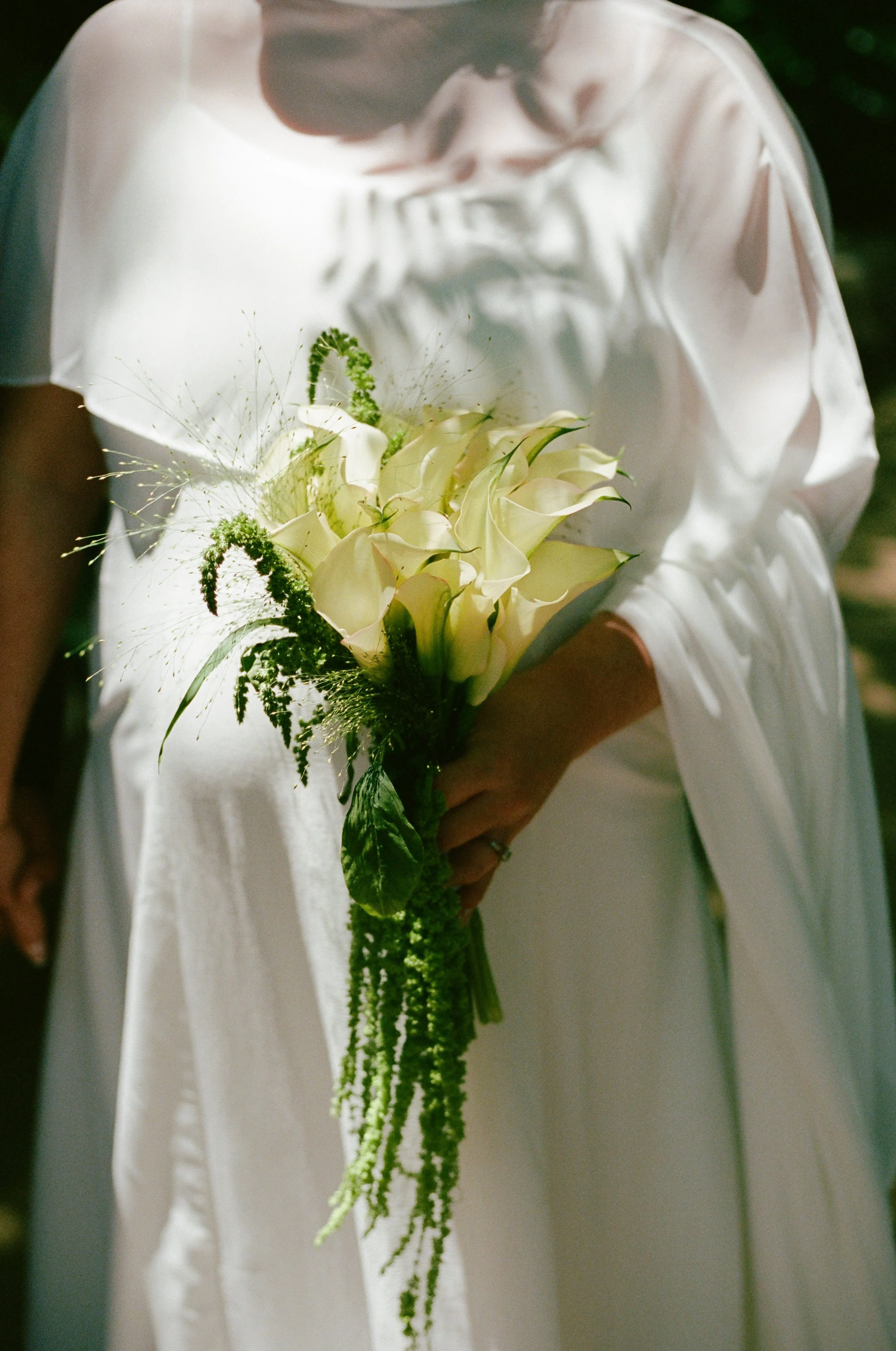 Beverly Hills Elopement Film Photography