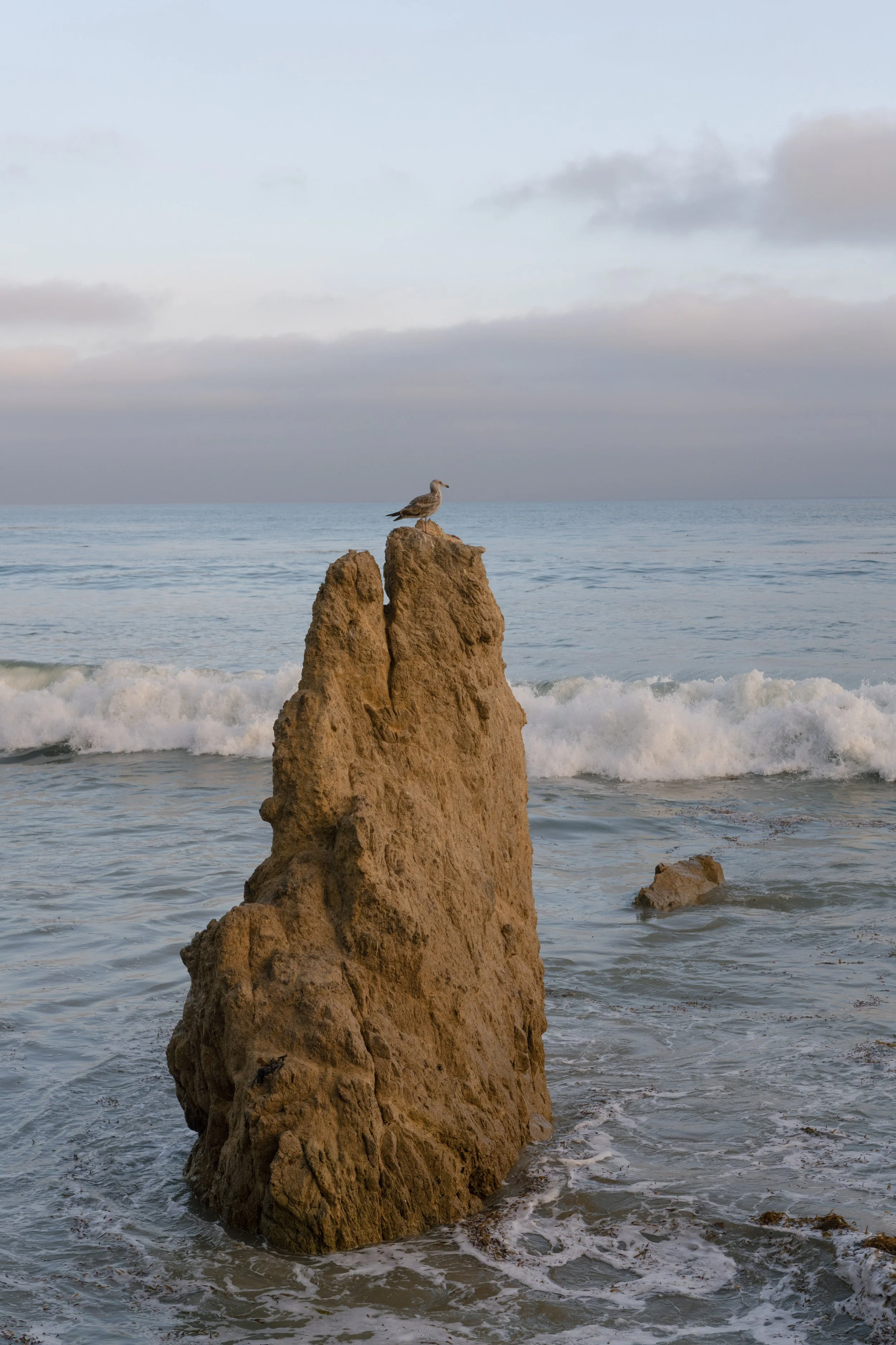 kathryn-ray-los-angeles-elopement-carrie-rogers-photography-289.jpg