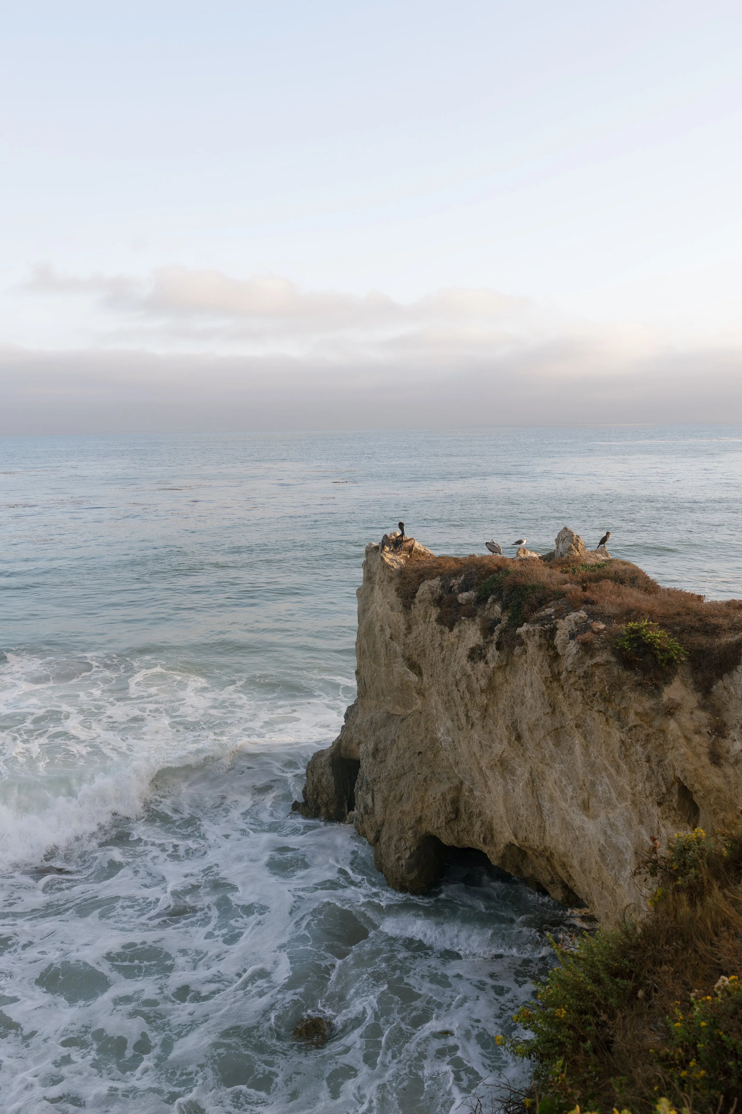kathryn-ray-los-angeles-elopement-carrie-rogers-photography-288.jpg
