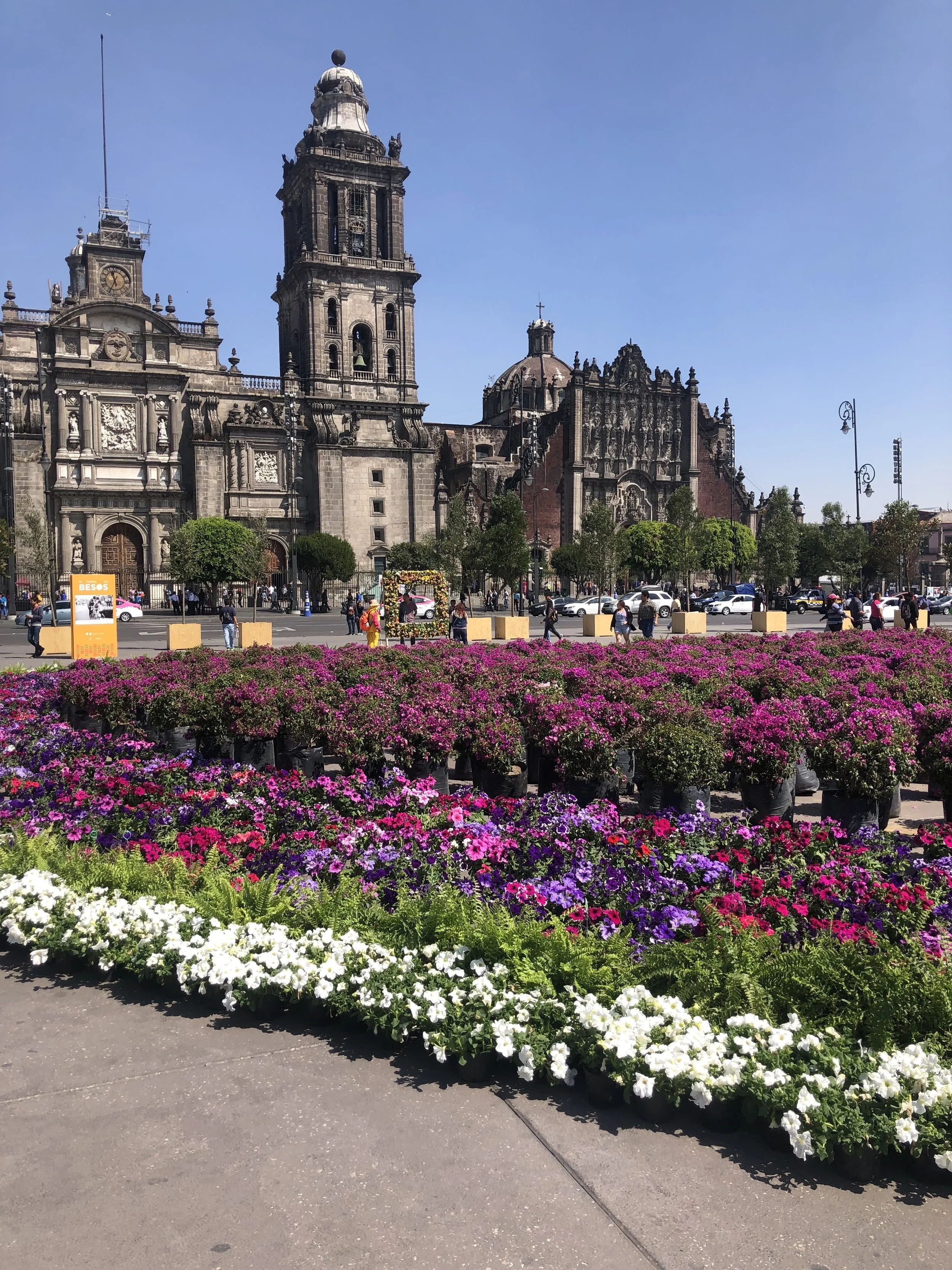 A Weekend Guide to Mexico City 