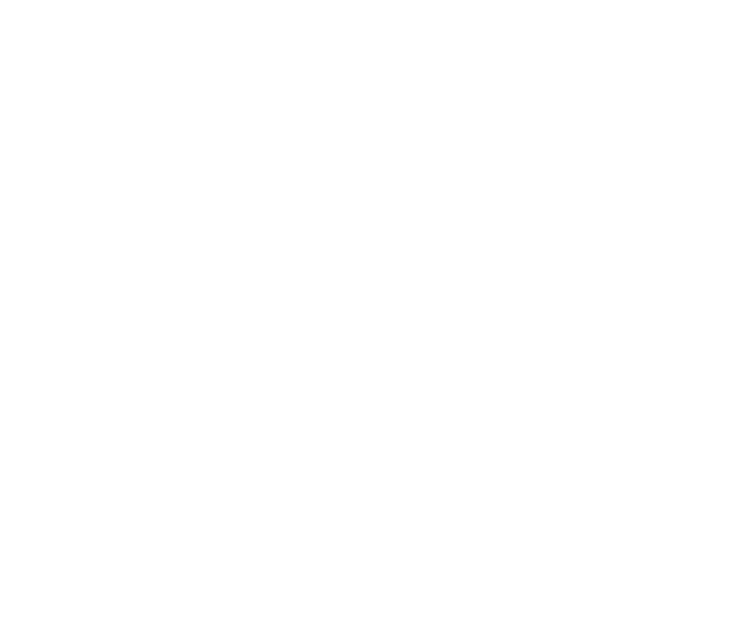 sm logo white 316.png
