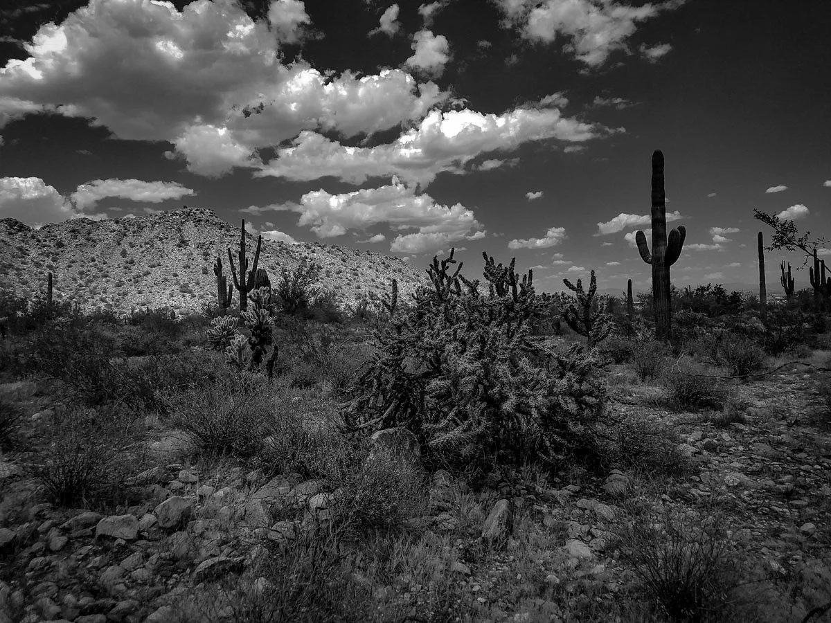 White Tank Mountains - Photo of The Day - Arizona Highways Magazine - sarahbwstudio