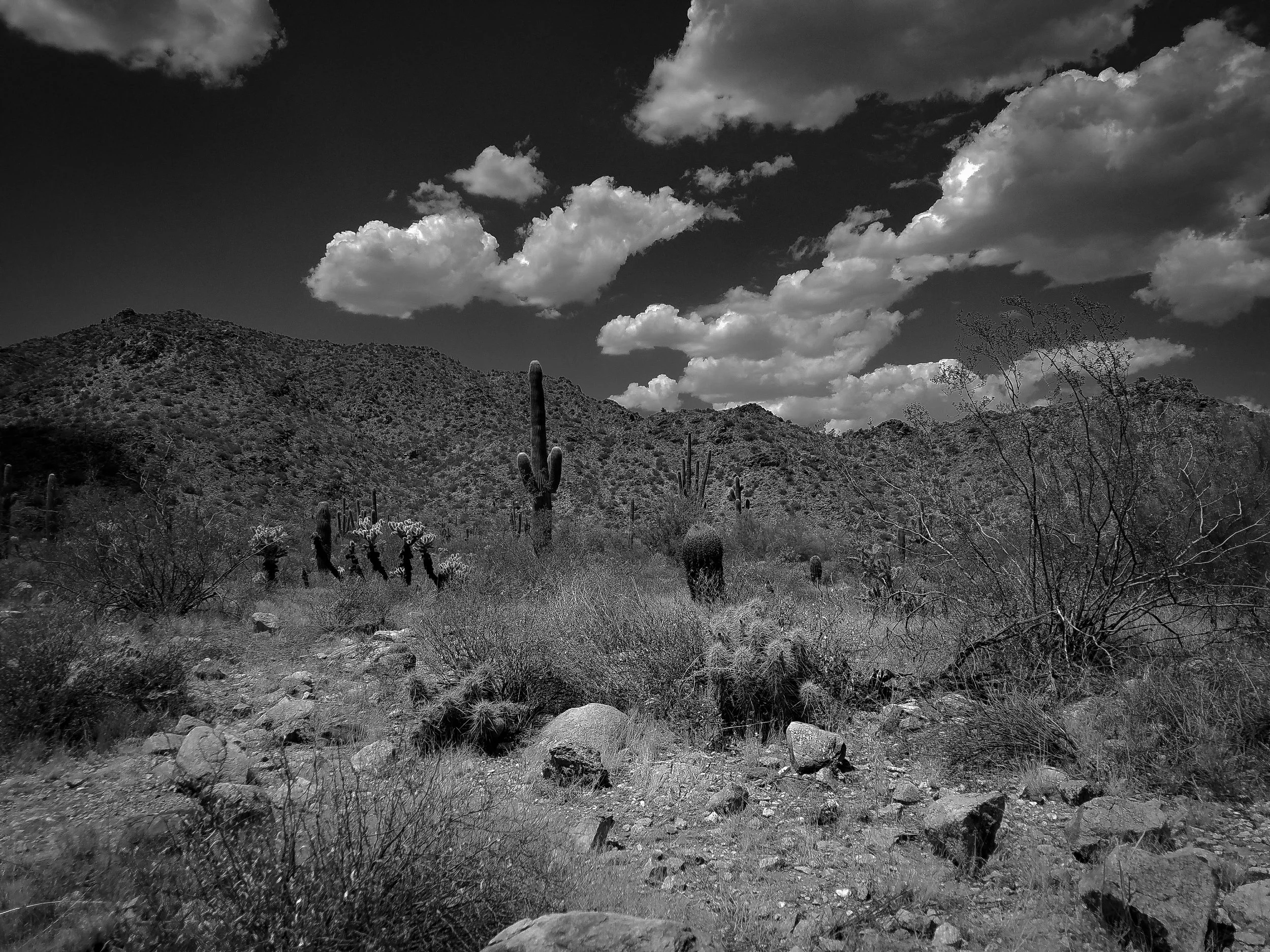 White Tank Mountains - Nature Art Exhibition - sarahbwstudio