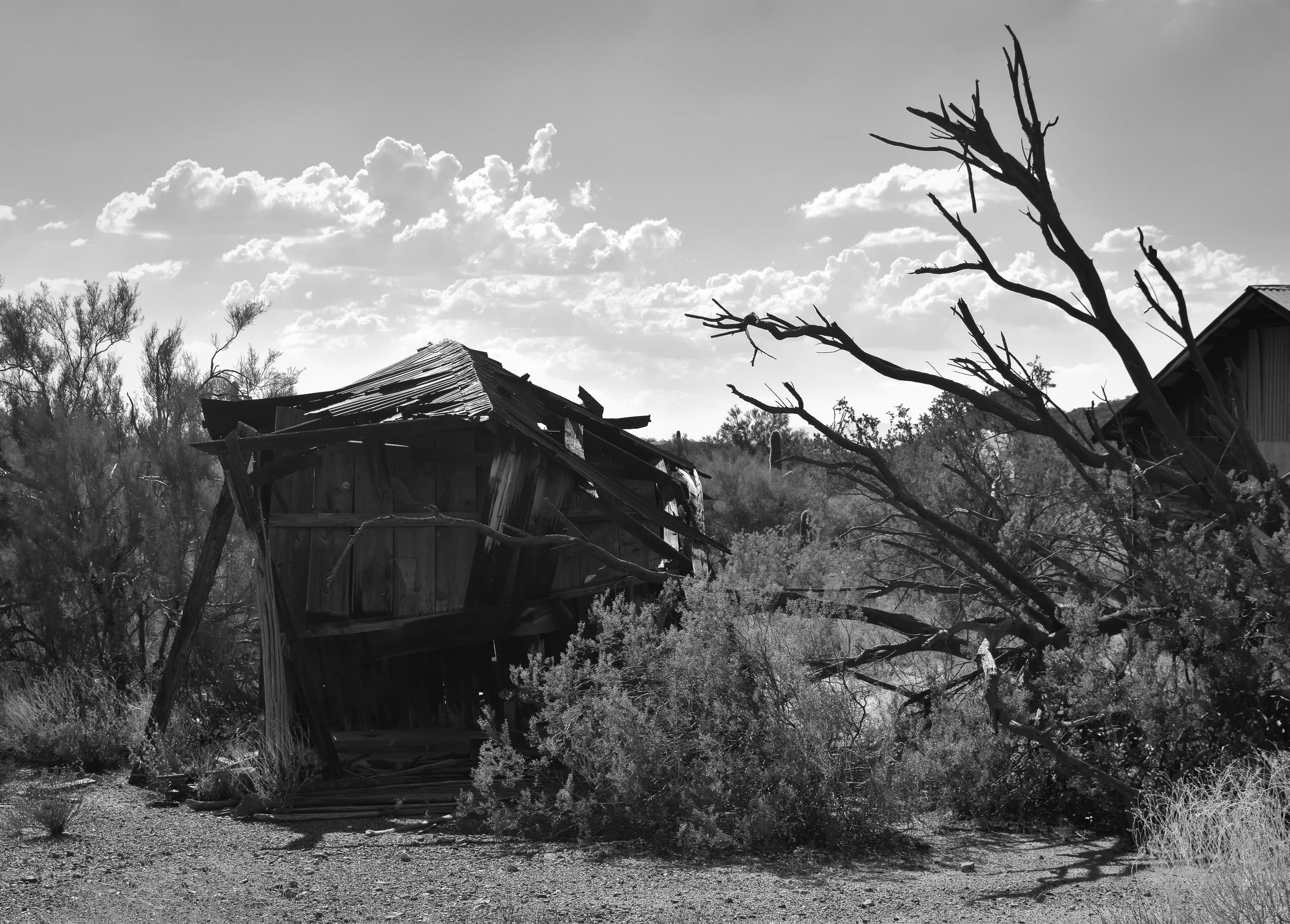 DSC_0307.jpg