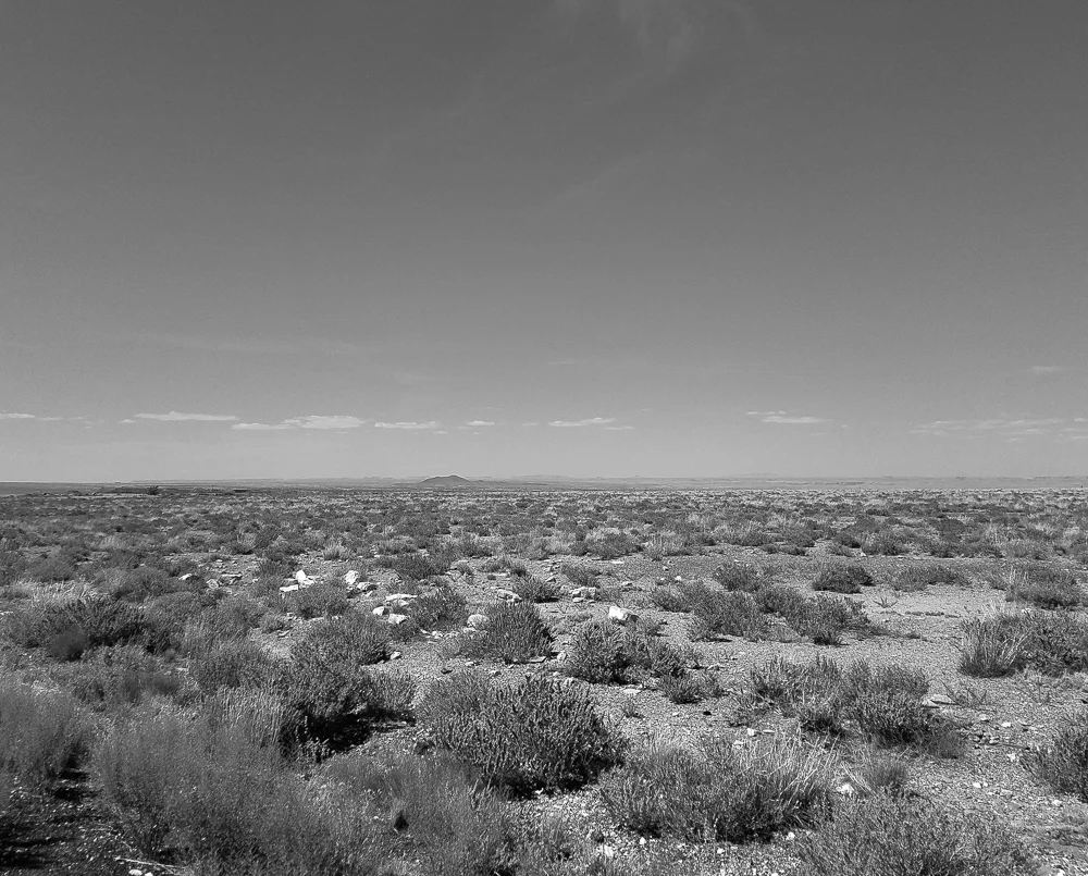 20170603_144057.jpg