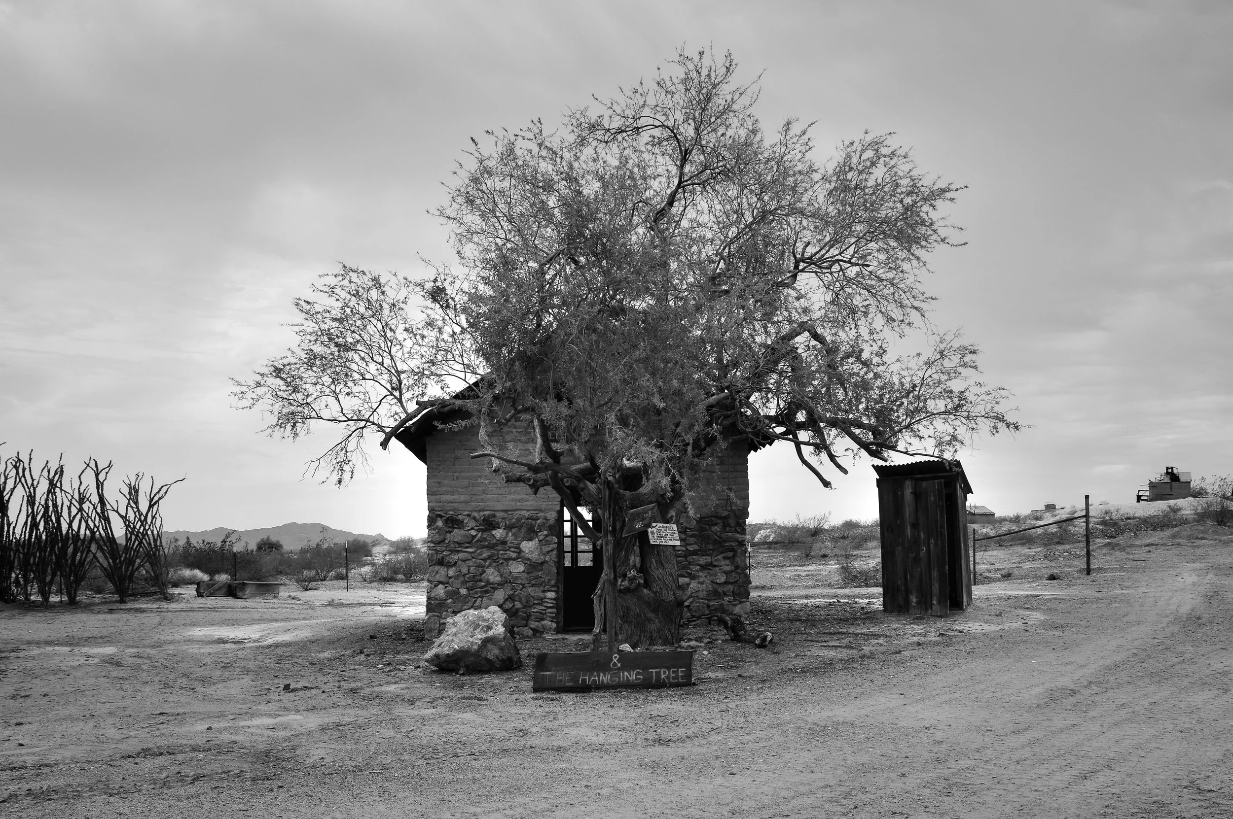 DSC_0672.jpg