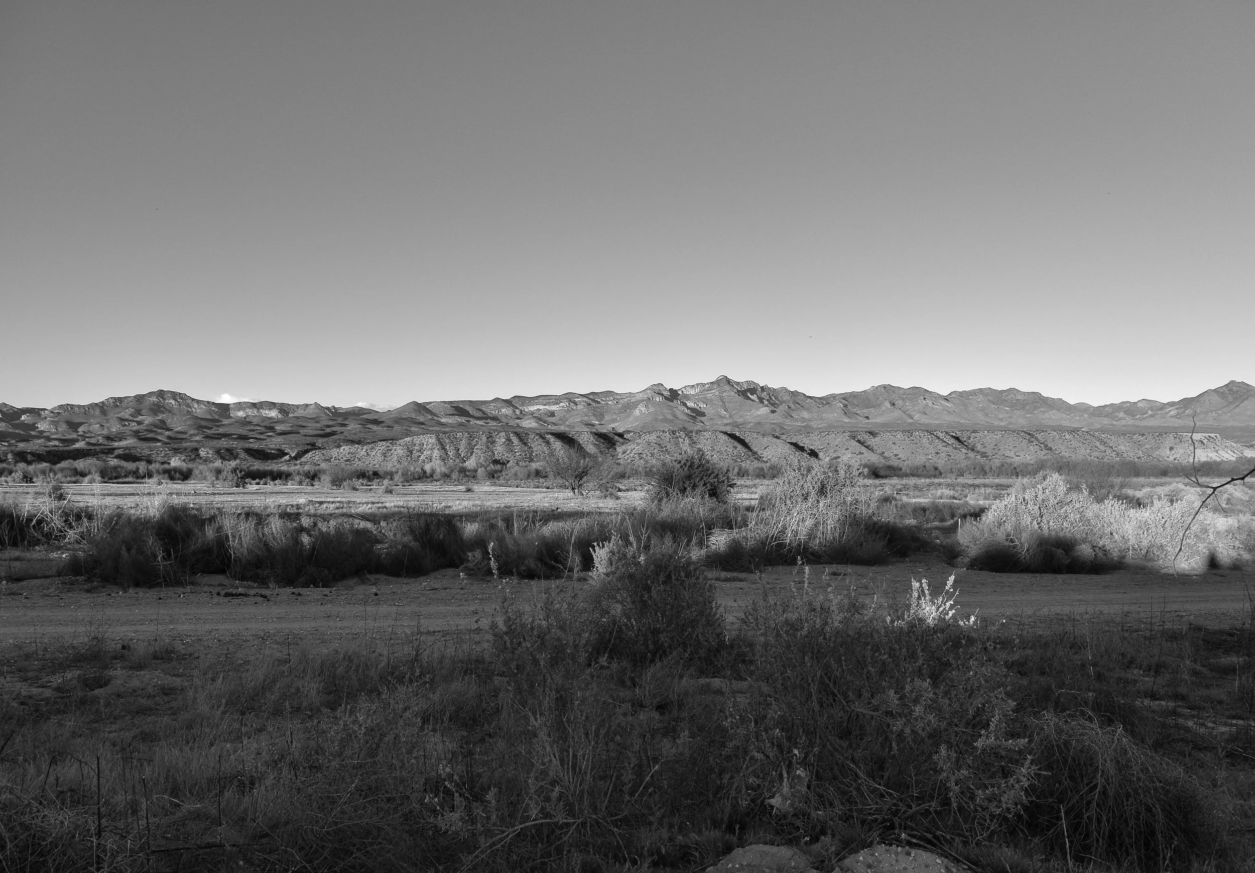 DSC_0712-2.jpg
