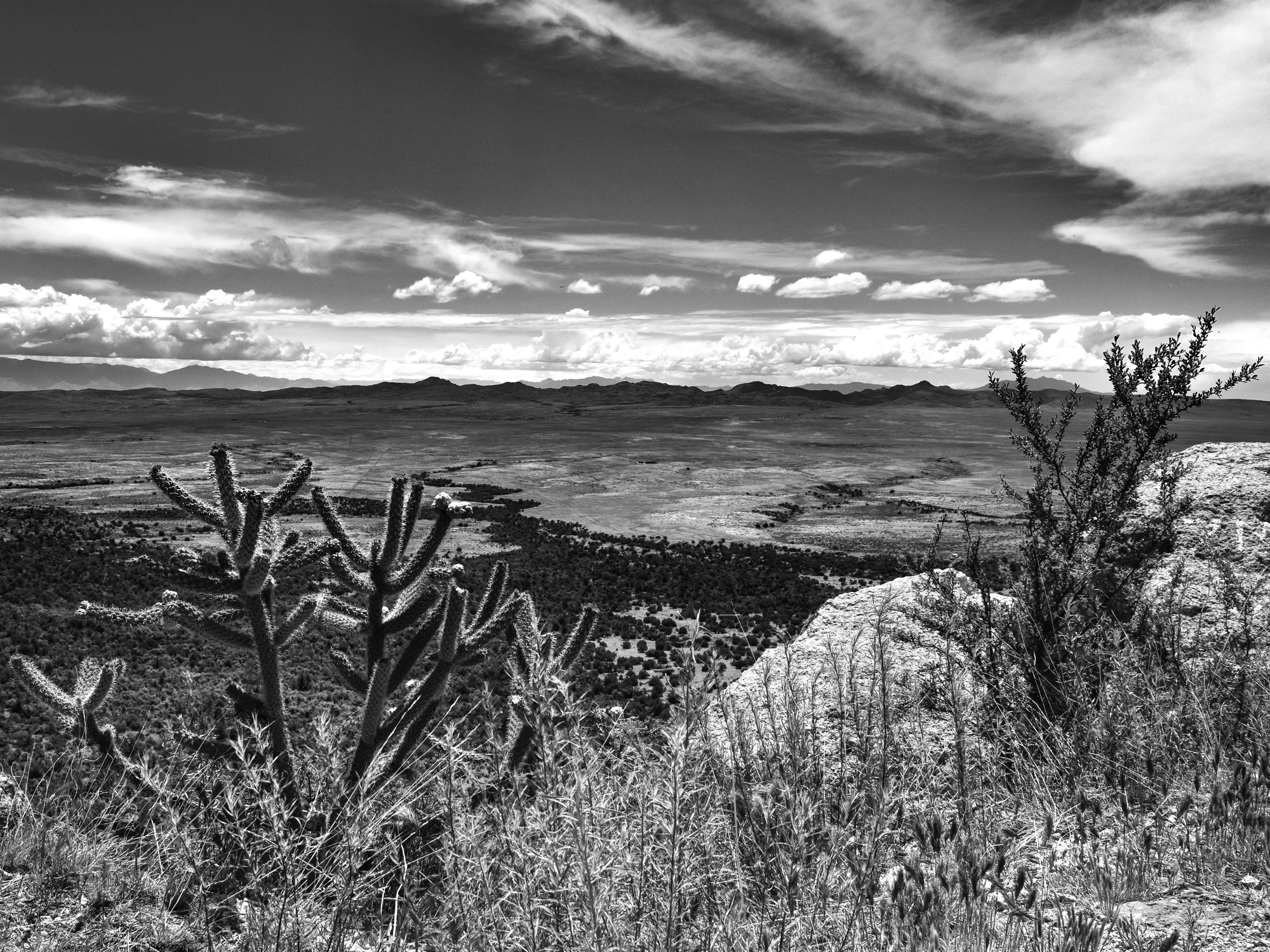 DSC_0526-2.jpg