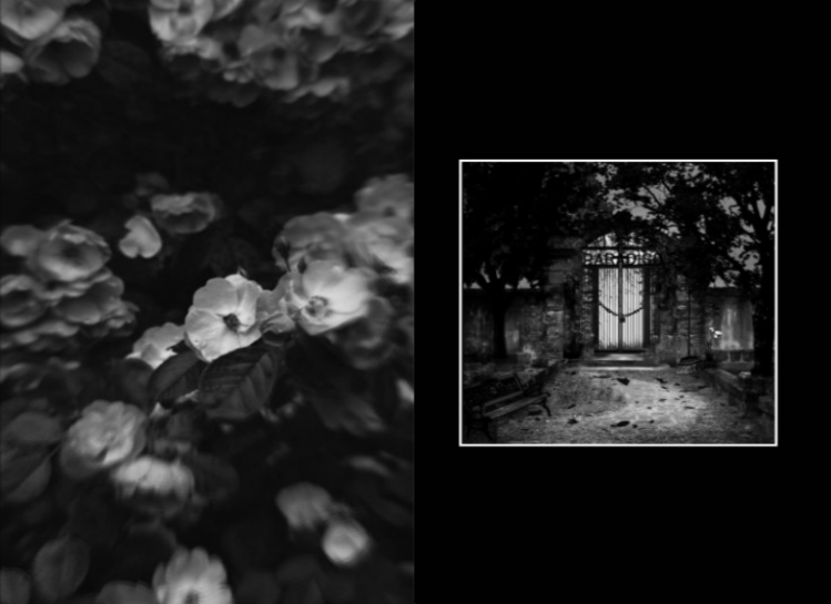 Paradiso Perduto- SarahBWStudio.PNG