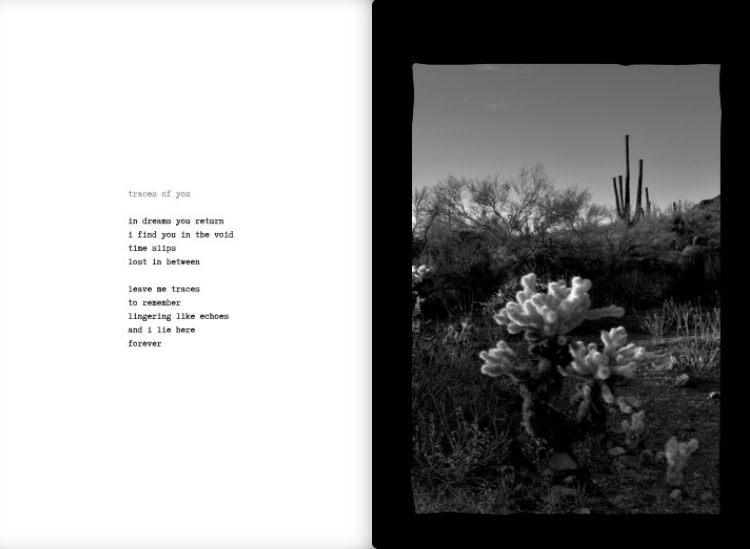 LostTumbleweed_Poems-SarahBWStudio.PNG