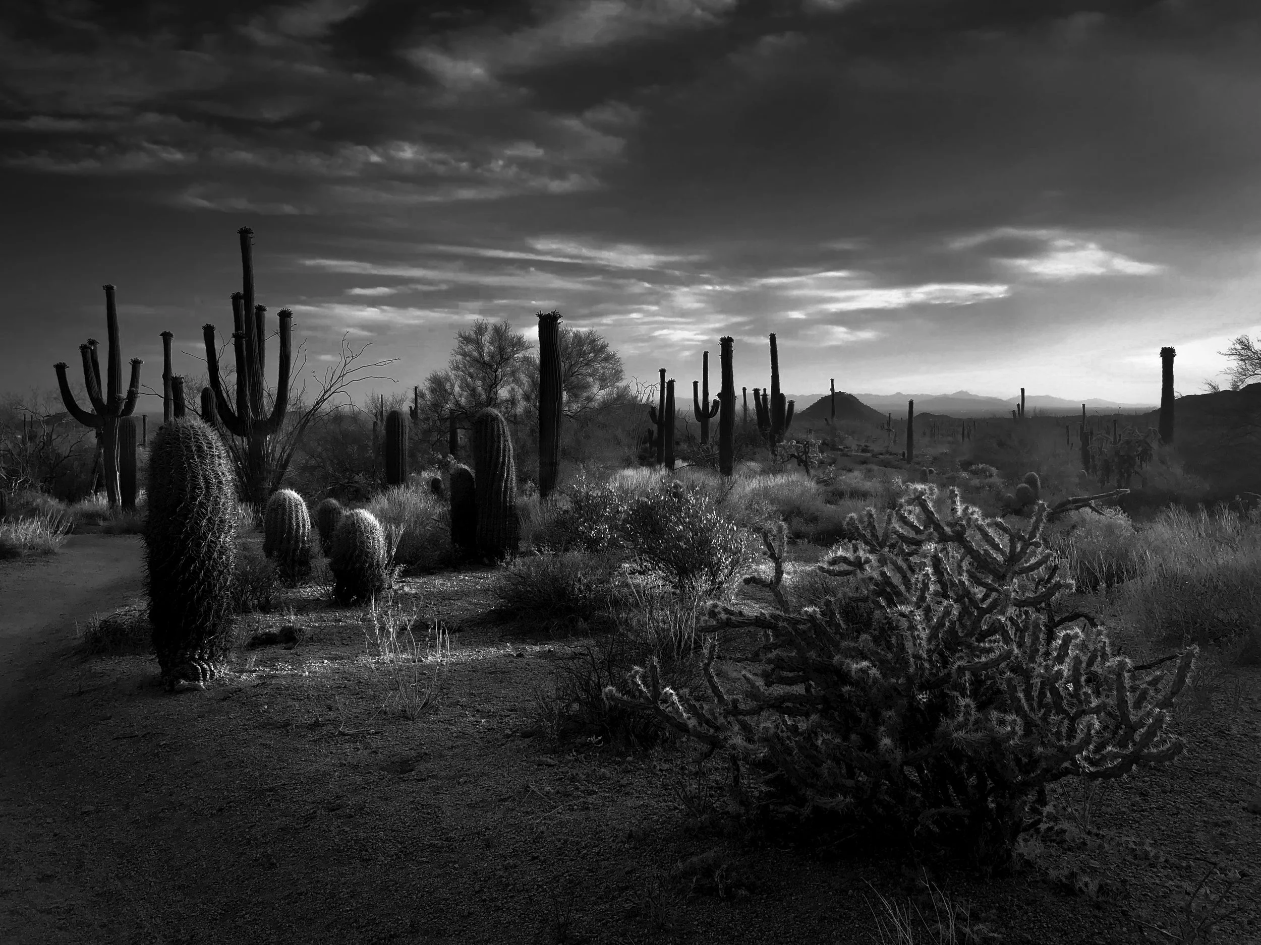 Usery Mountain Regional Park