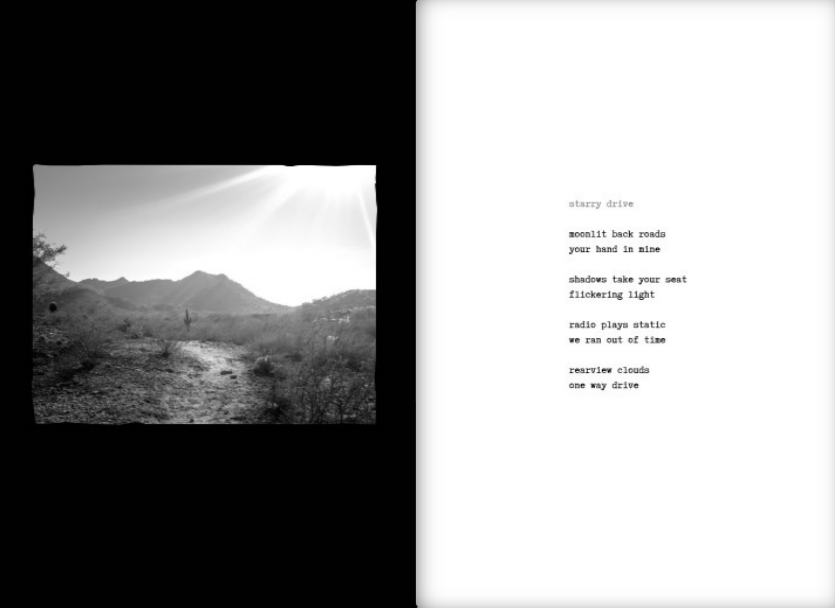 LostTumbleweedPoems-SarahBWStudio.PNG