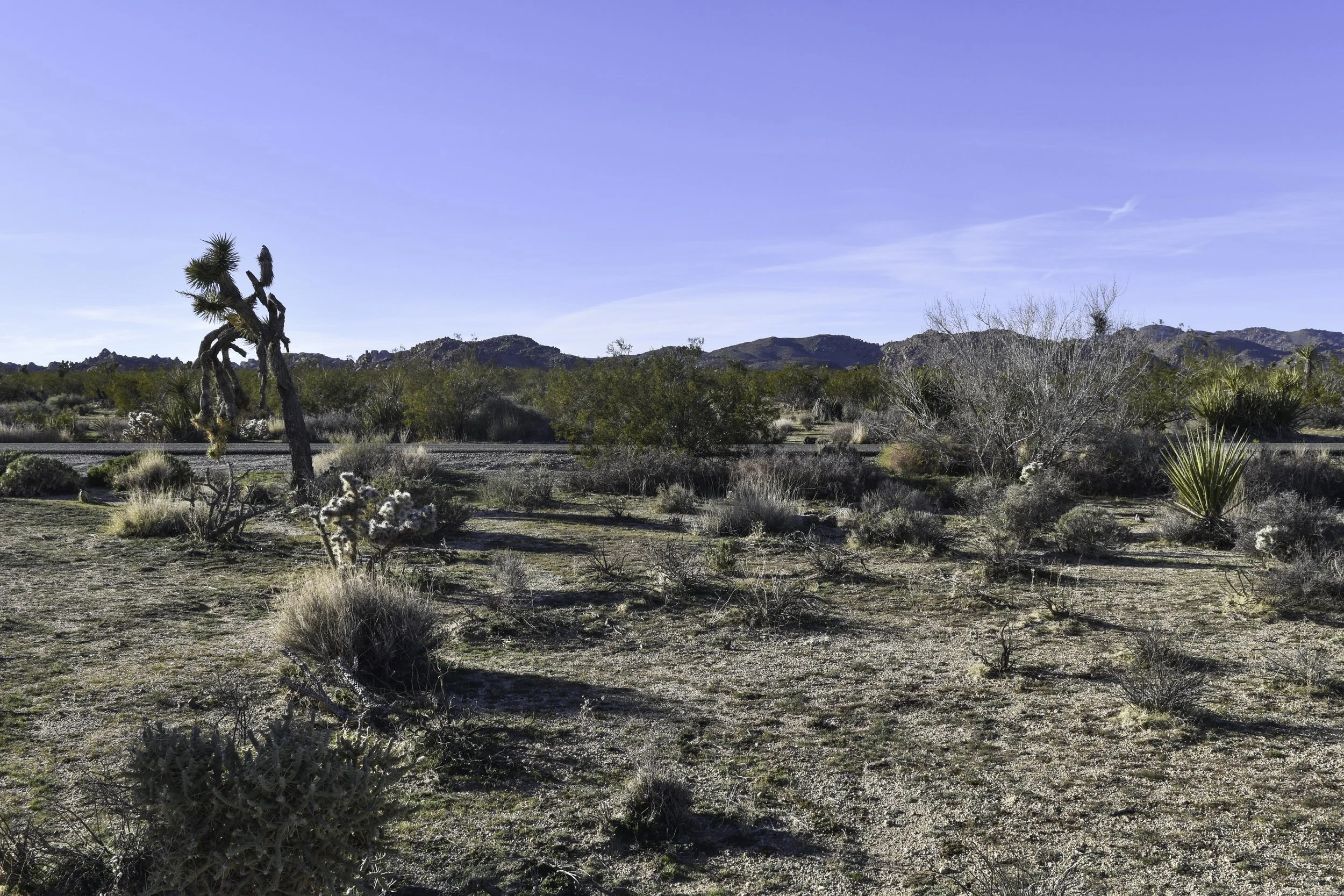 DSC_0837.jpg
