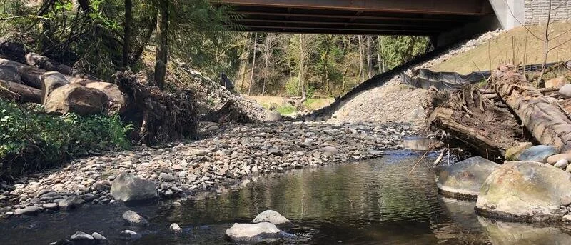 The New Tryon Creek Bridge in SW Portland is Complete