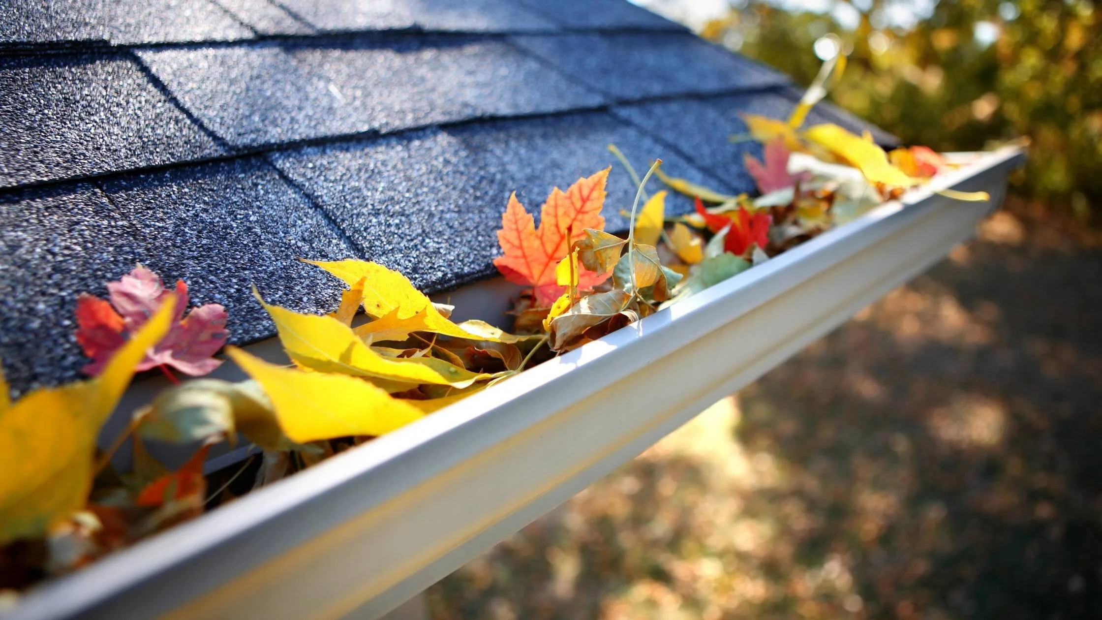 Getting Your Gutters Ready for Fall and Winter